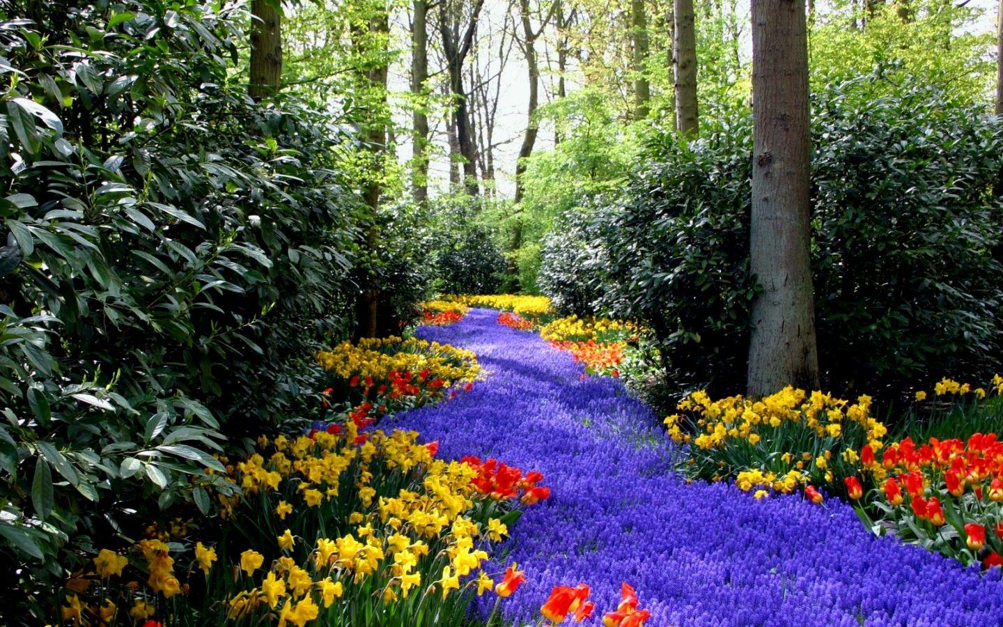 1440x900 Free download Spring wallpaper for your regular or widescreen desktop computer [1440x900] for your Desktop, Mobile & Tablet. Explore Scenic Spring Wallpaper. PC Background Desktop Wallpaper, Summer Wallpaper for