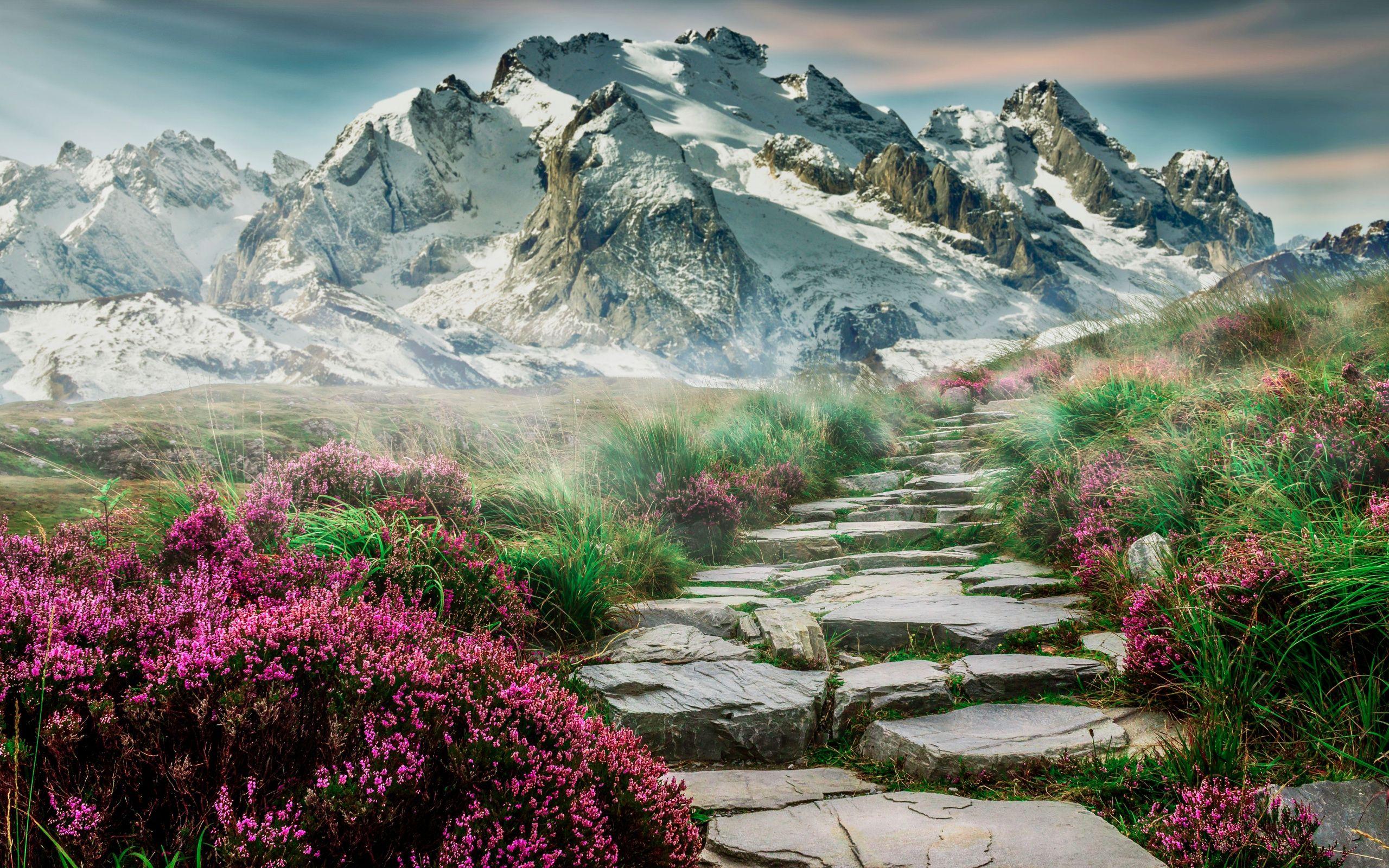 2560x1600 Download Scenic, spring, mountain, rocks steps, pathway wallpaper, 2560x Dual Wide, Widescreen 16: Widescreen