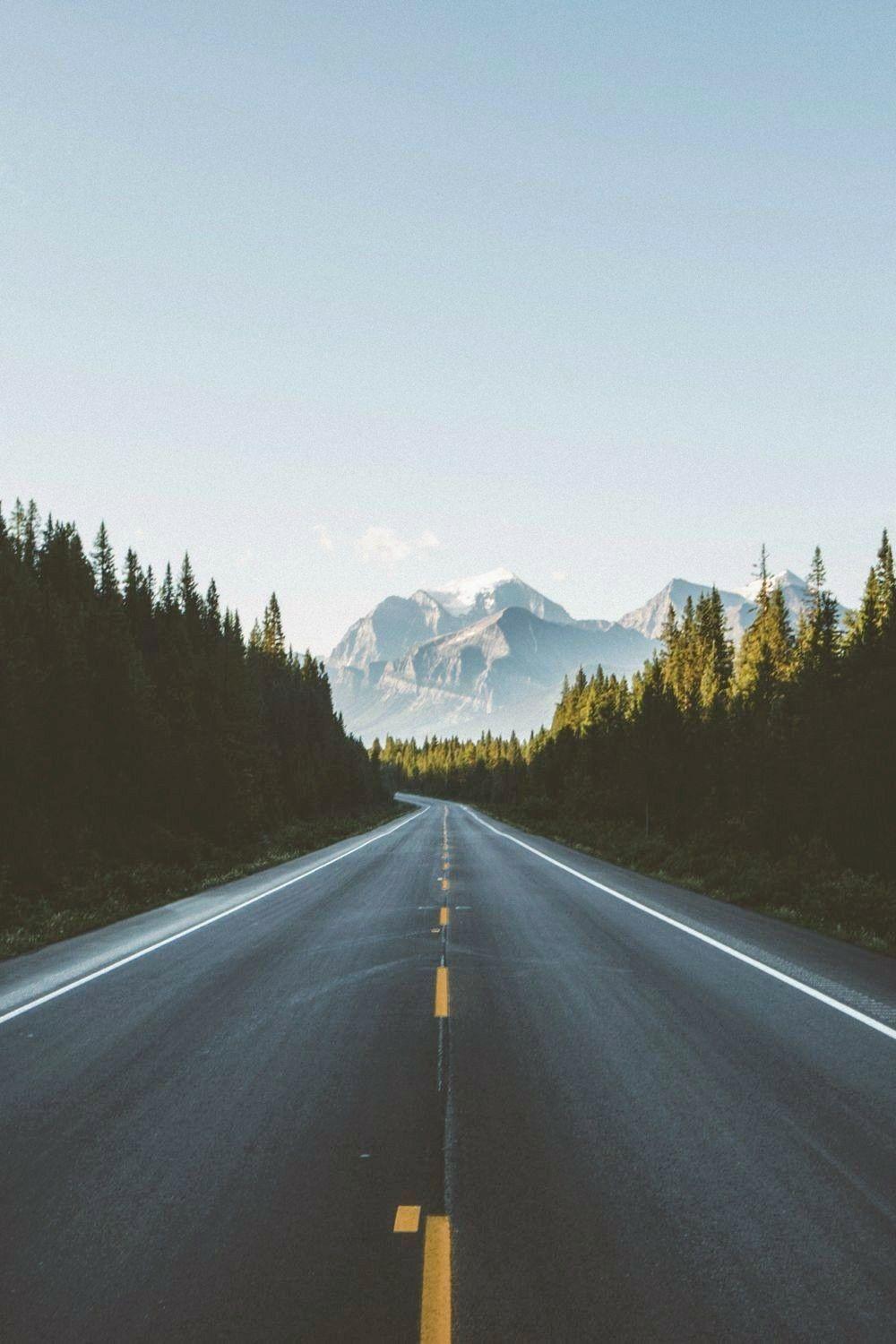 1000x1500 Roads to drive throw atleast once in a life time. Nature photography, Scenery, Nature