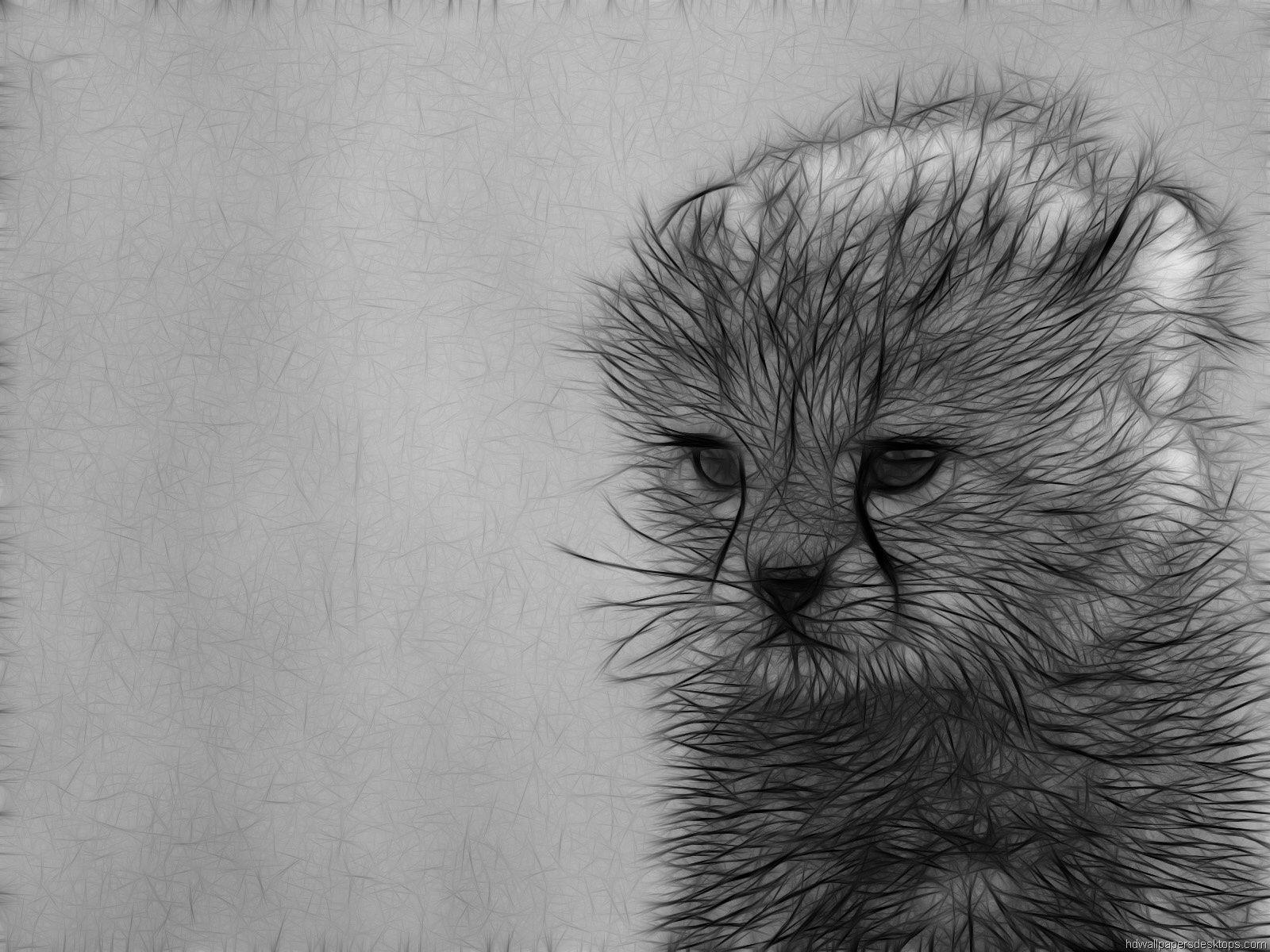 1600x1200 HD Animal Drawing Wallpaper