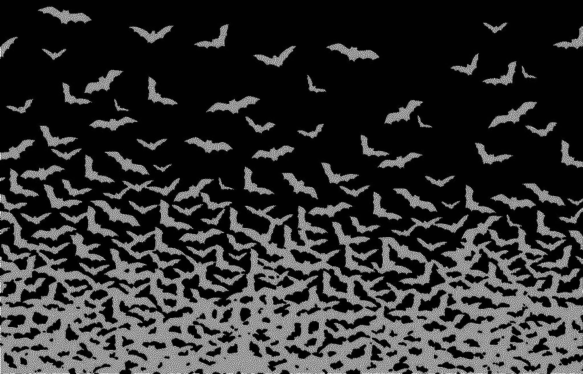 Cute Bat Wallpapers Top Free Cute Bat Backgrounds WallpaperAccess