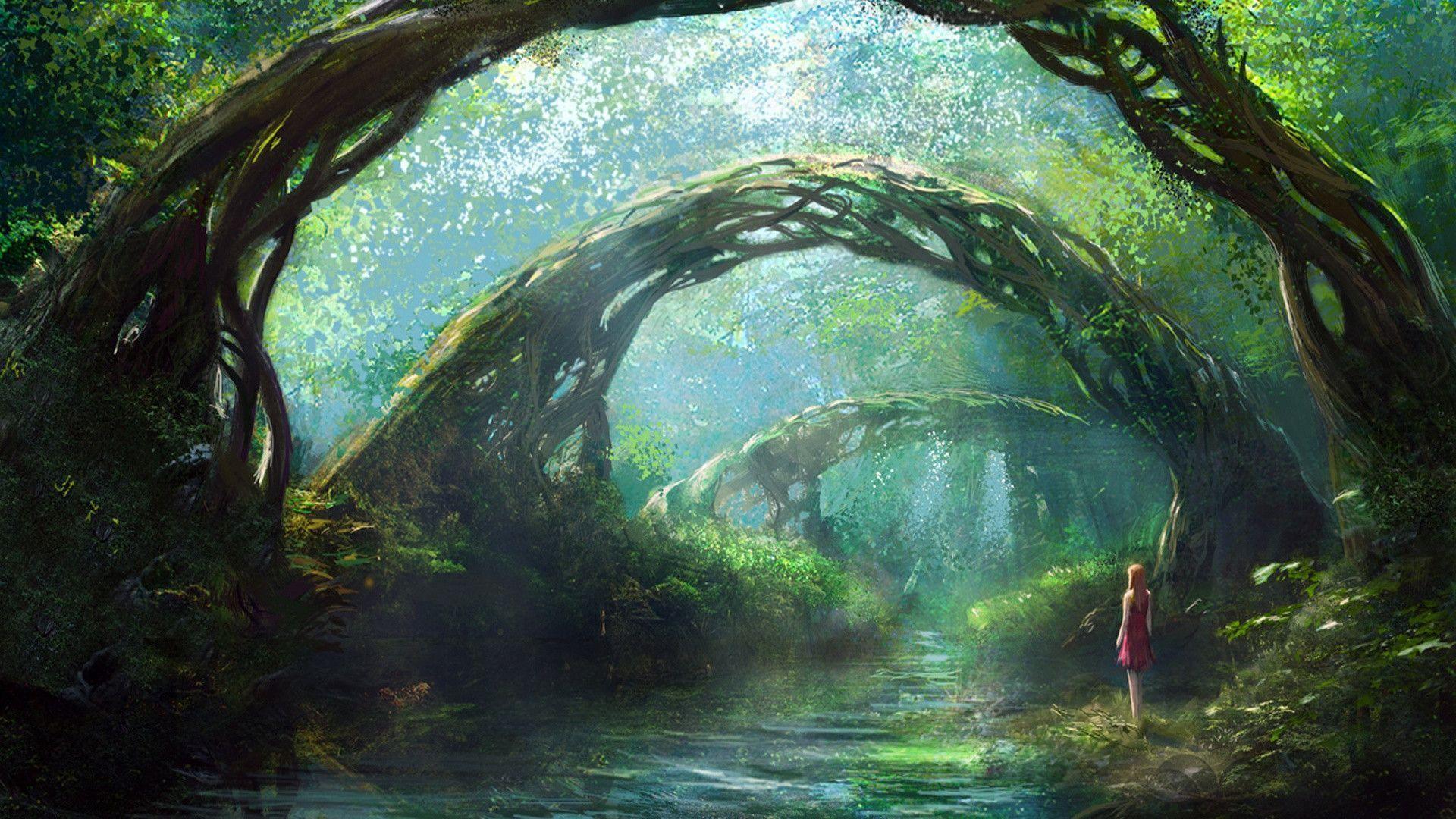 forest scenery fantasy