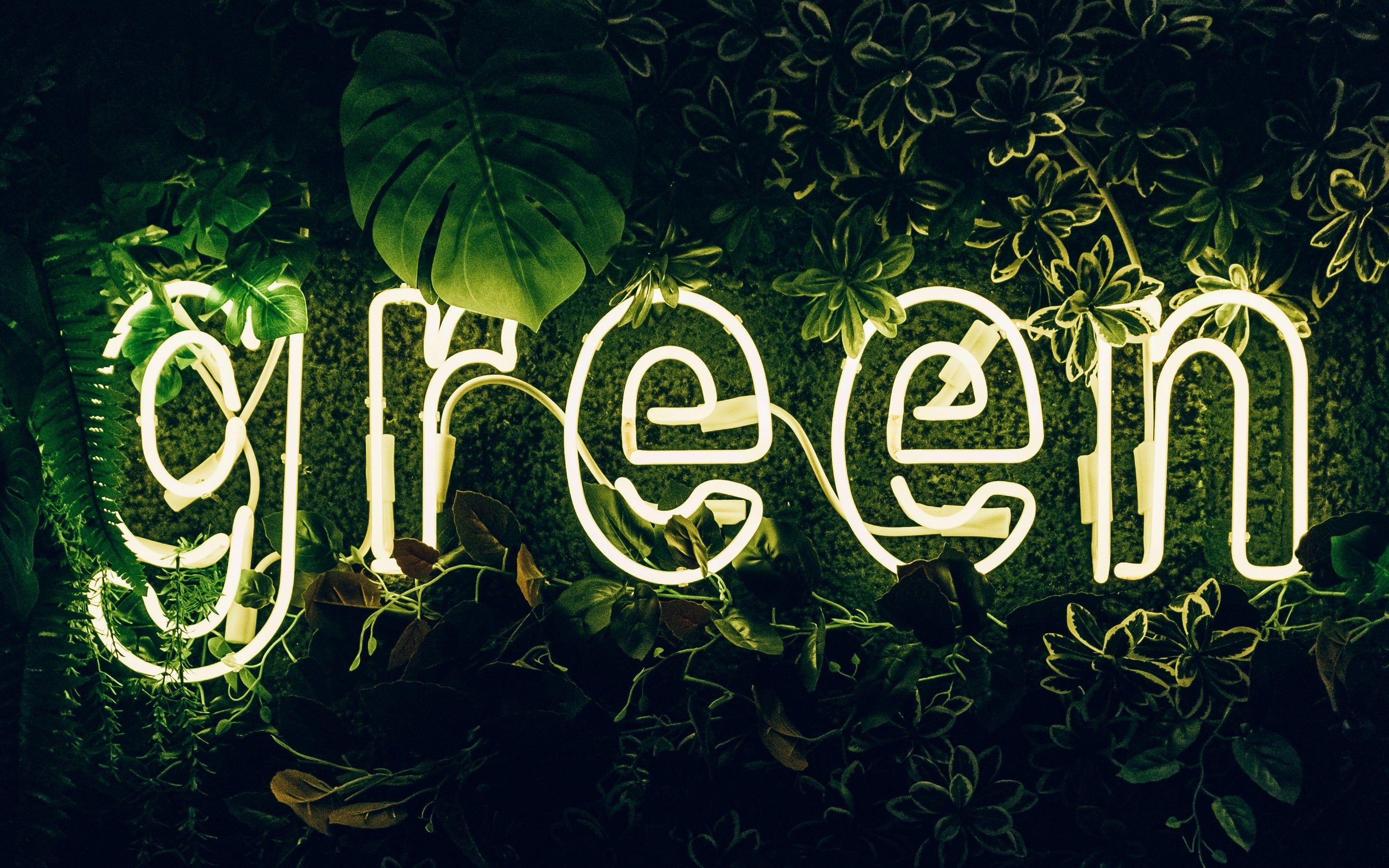 2880x1800 Green 4K Wallpaper, Neon sign, Plant, Illuminated, Leaves, , Photography