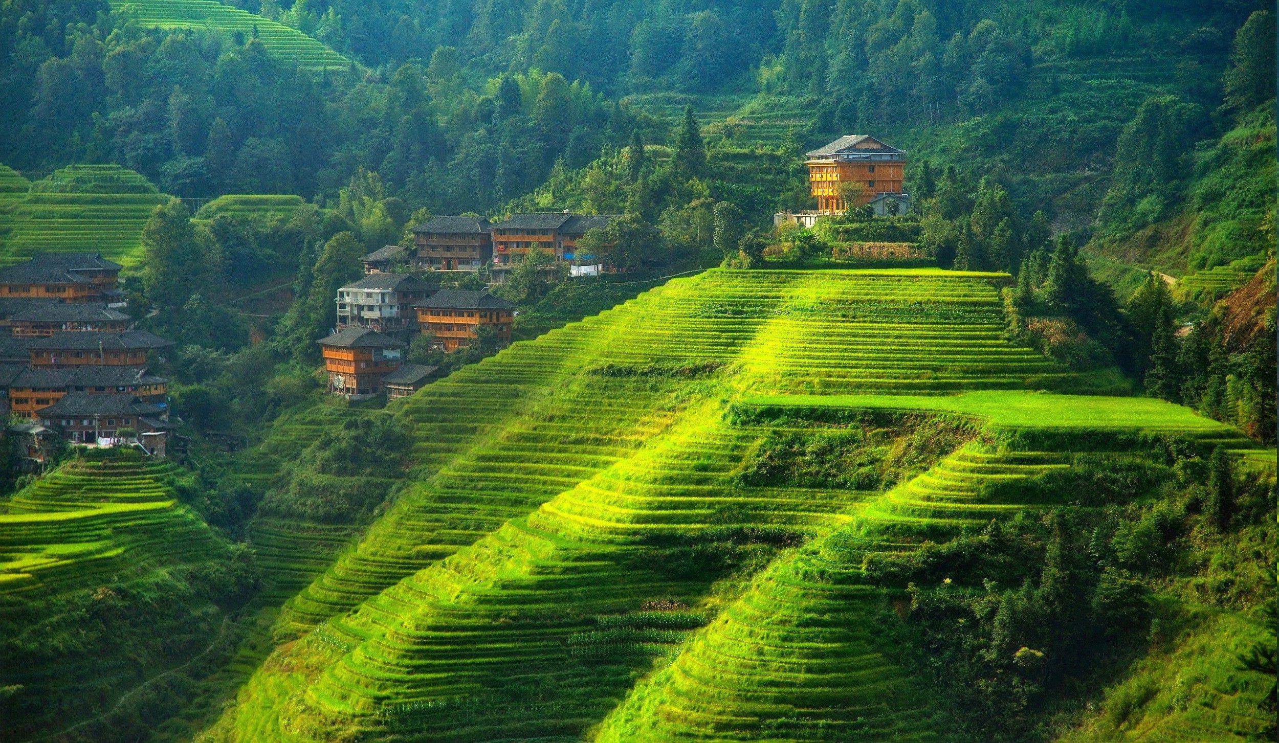 china landscape photo