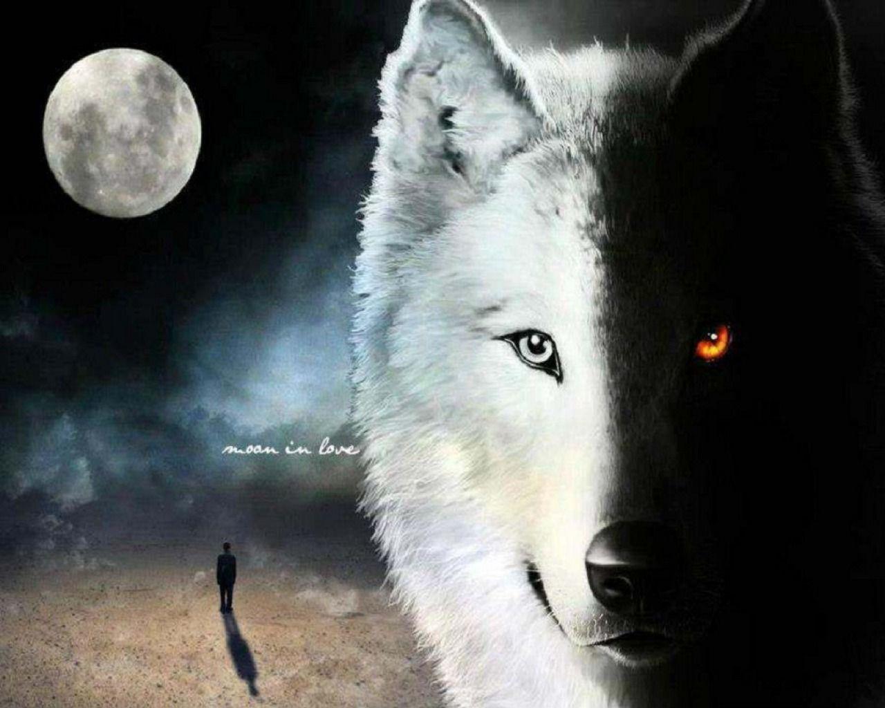 1280x1024 Black and White Wolf Wallpaper