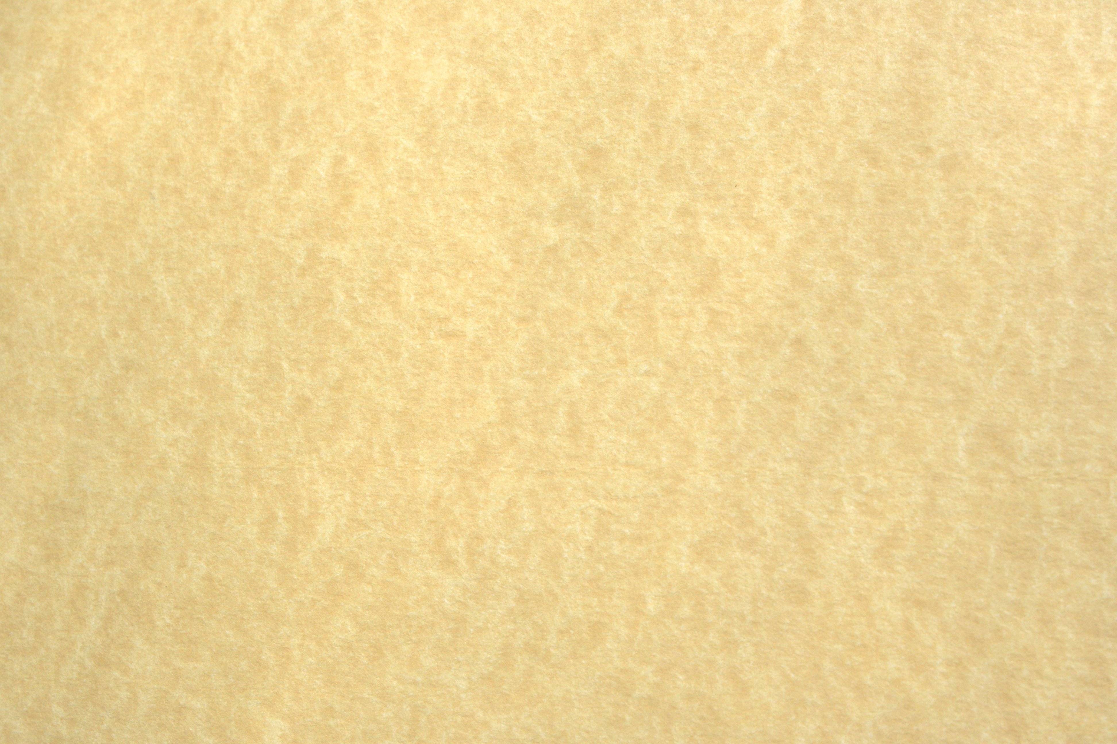3888x2592 Cream Colored