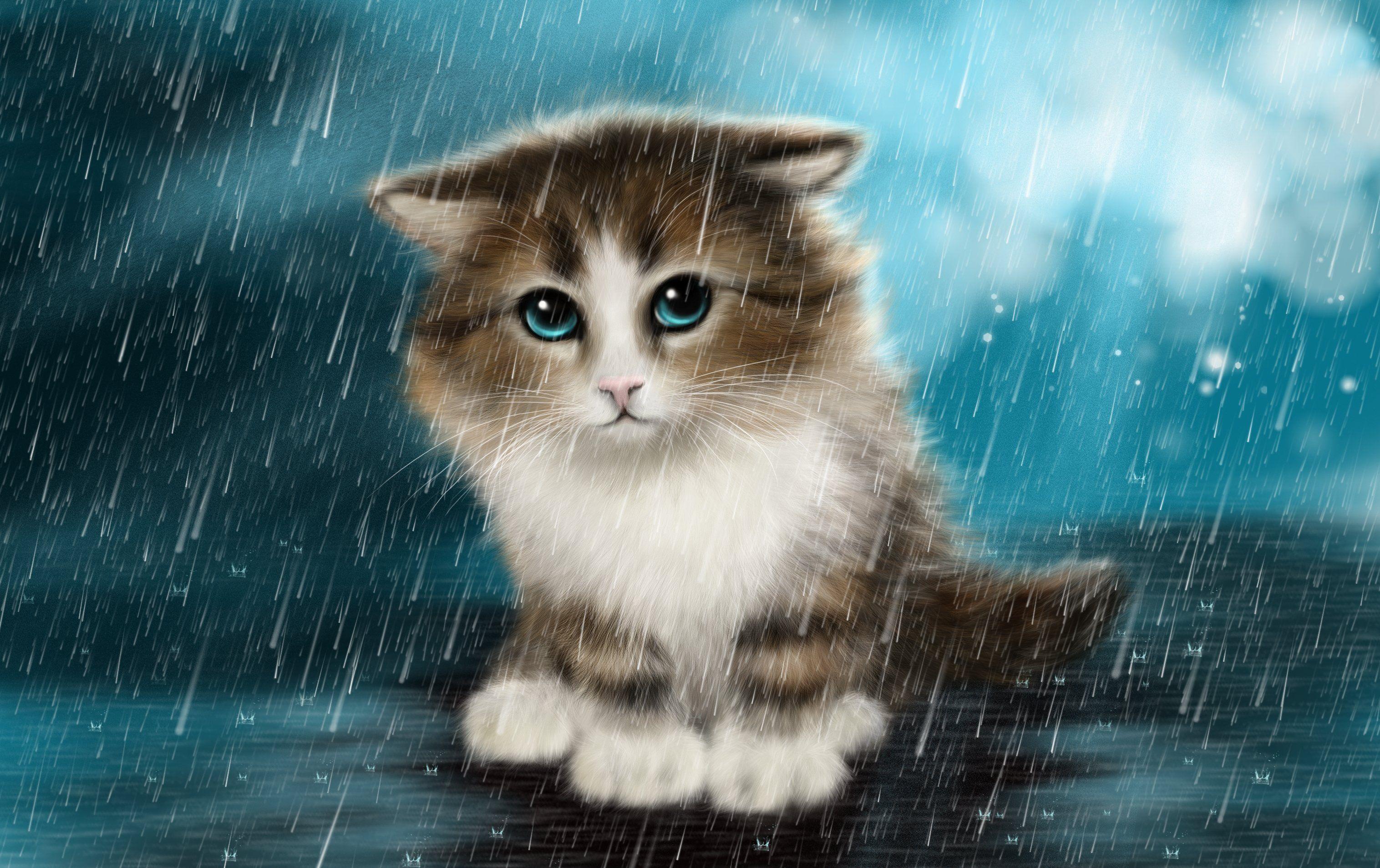 3032x1908 cats, Rain, Fantasy, Animals, Wallpaper Wallpaper HD / Desktop and Mobile Background