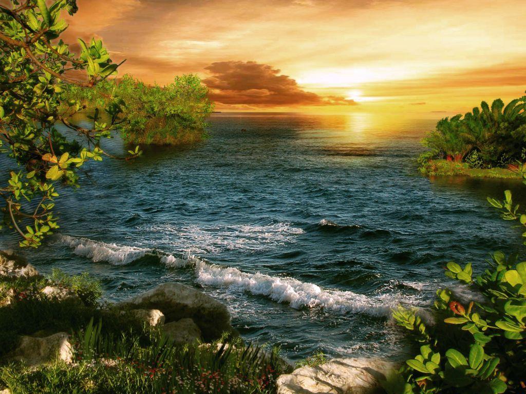 1024x768 Jungle On Sea Beach Wallpaper. All is Wall
