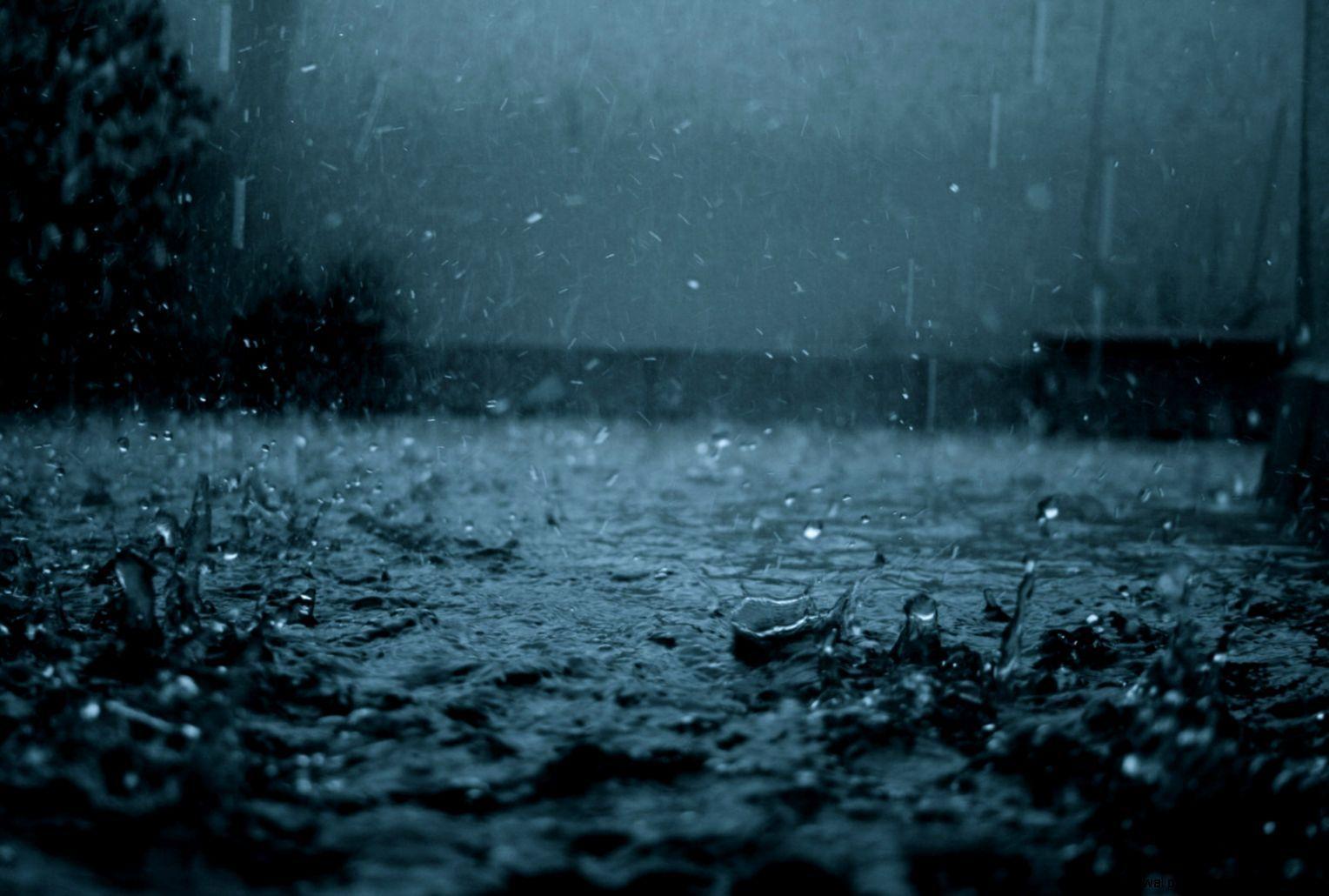 1528x1030 Spring Rain Wallpaper HD Free Download > SubWallpaper