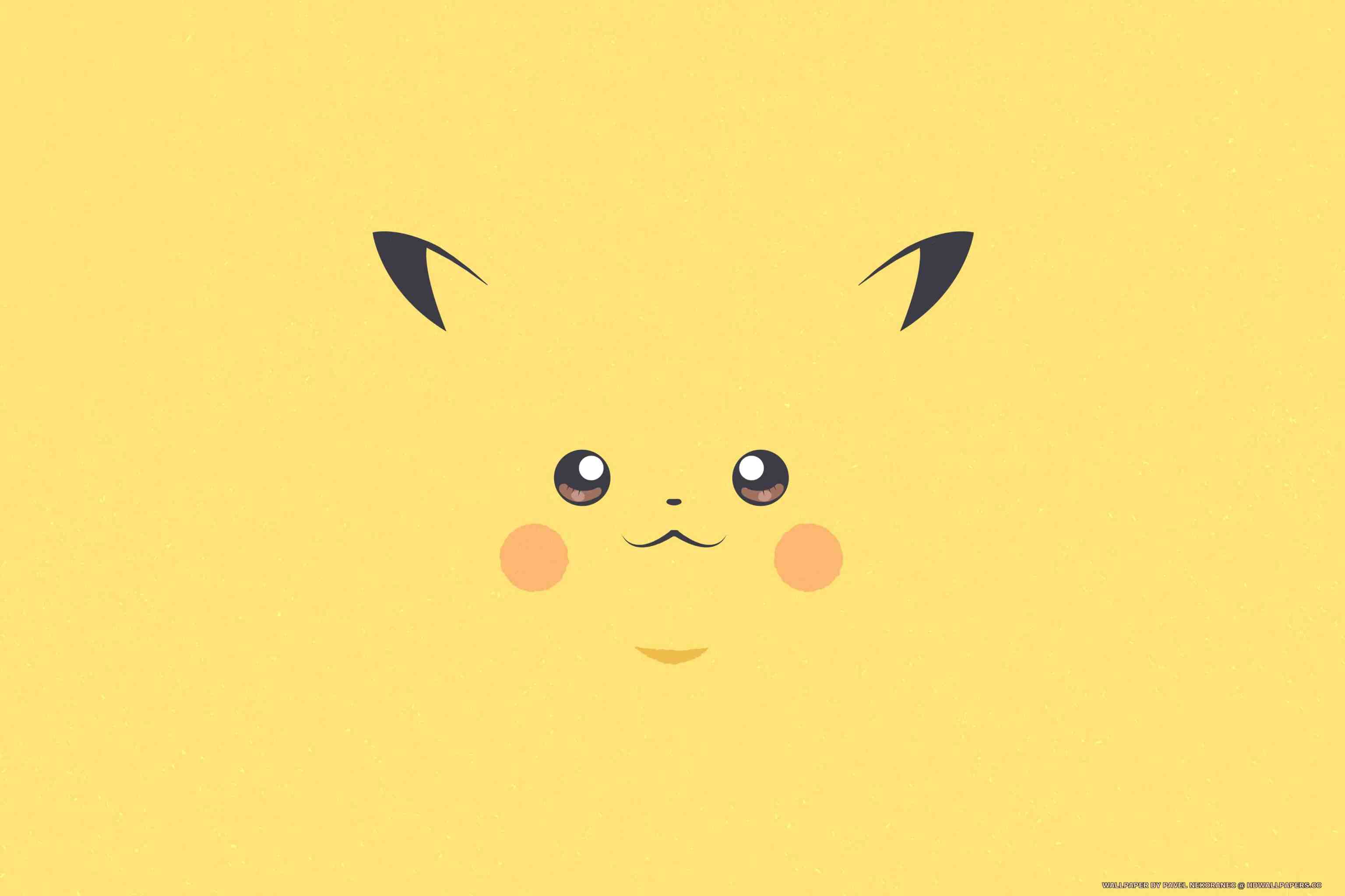 3072x2048 Pika Pika