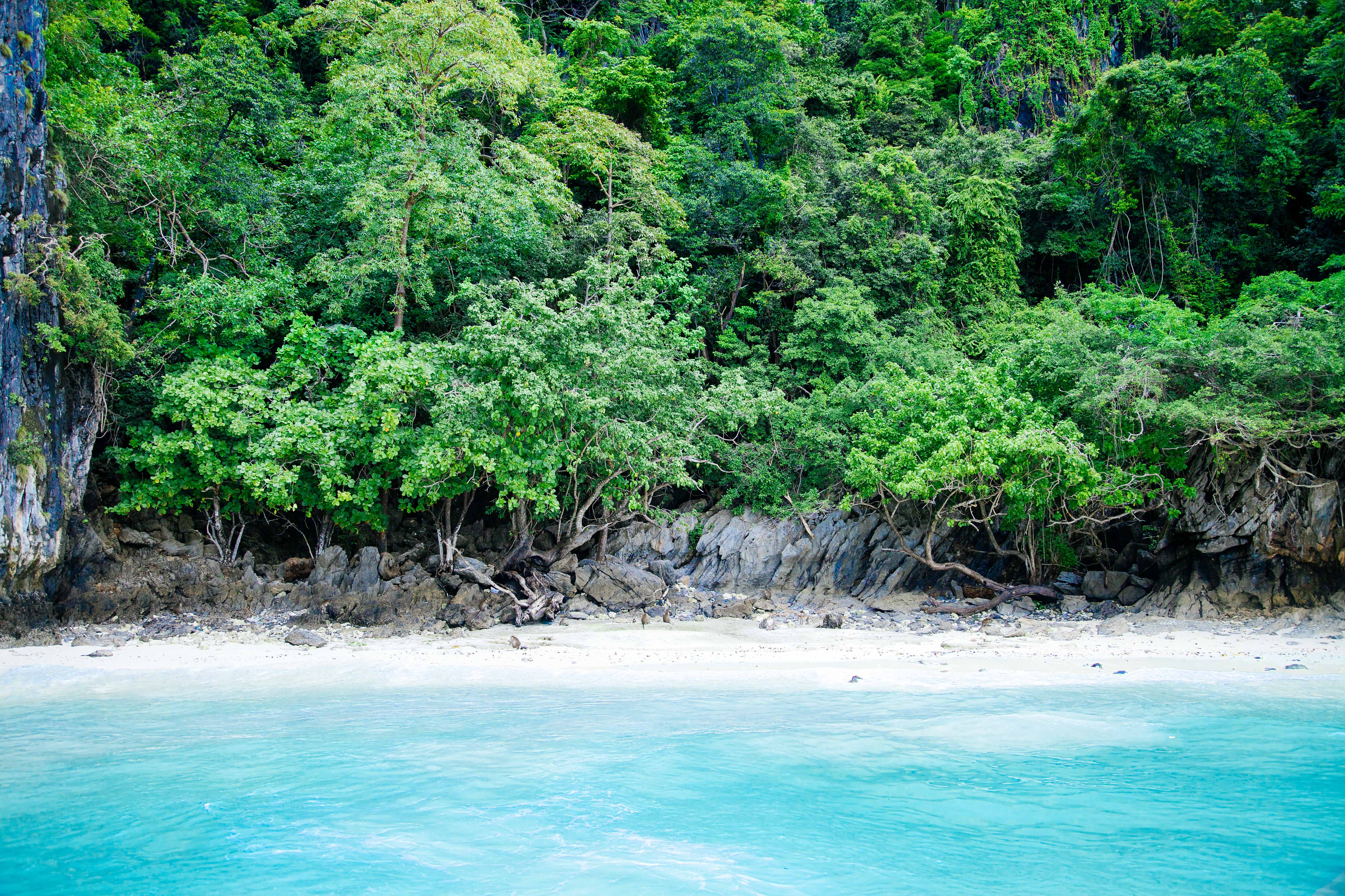 5616x3744 Android Wallpaper: Life's a Beach