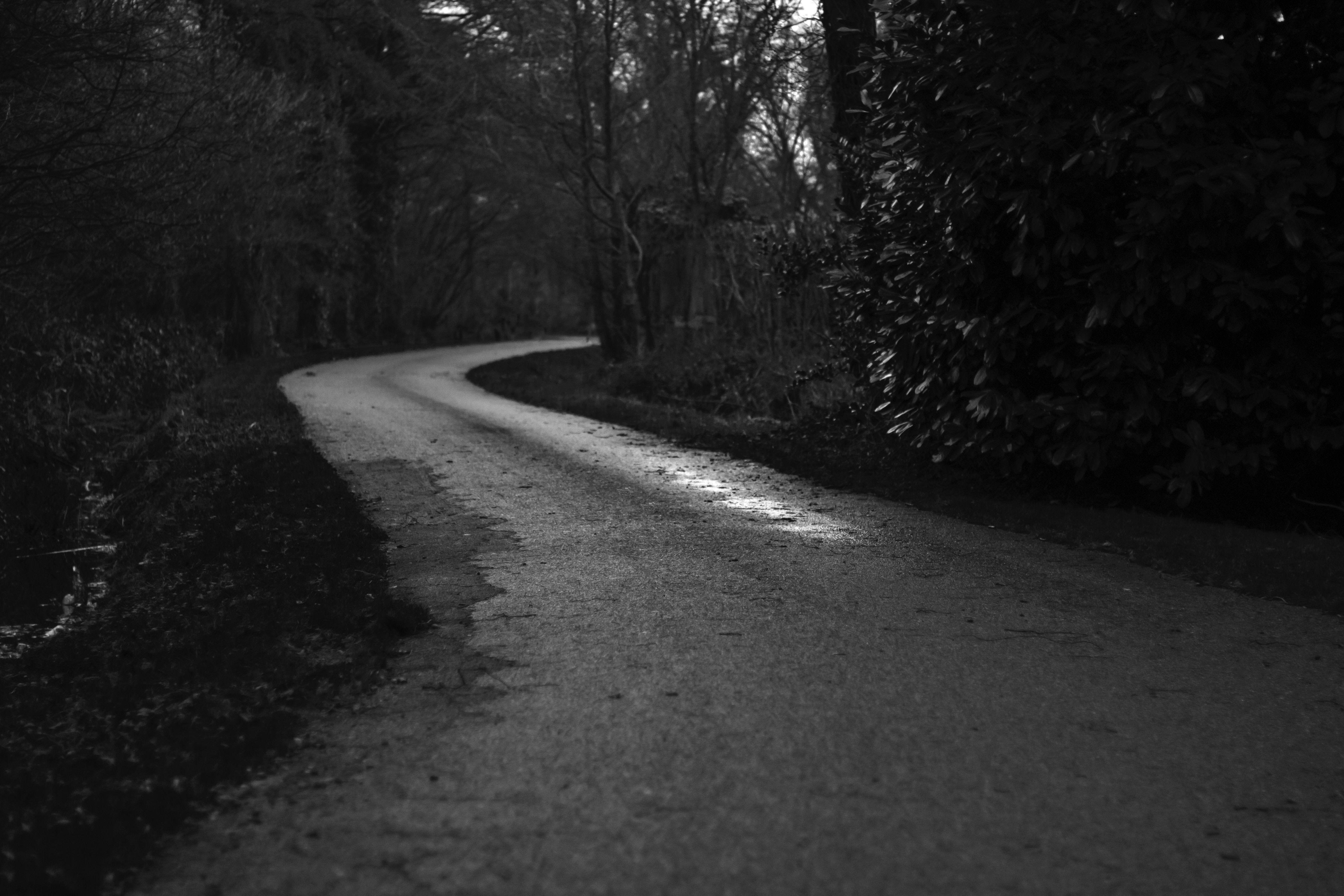 4752x3168 4752x3168 #rain, #country road, #path, #country, #b&w, #dark wood, #unknown, #black and white, #photo, #dark, #wet, #forest, #free, #wallpaper, #Free , #street, #wood, #tree, #winding road, #winding, #road