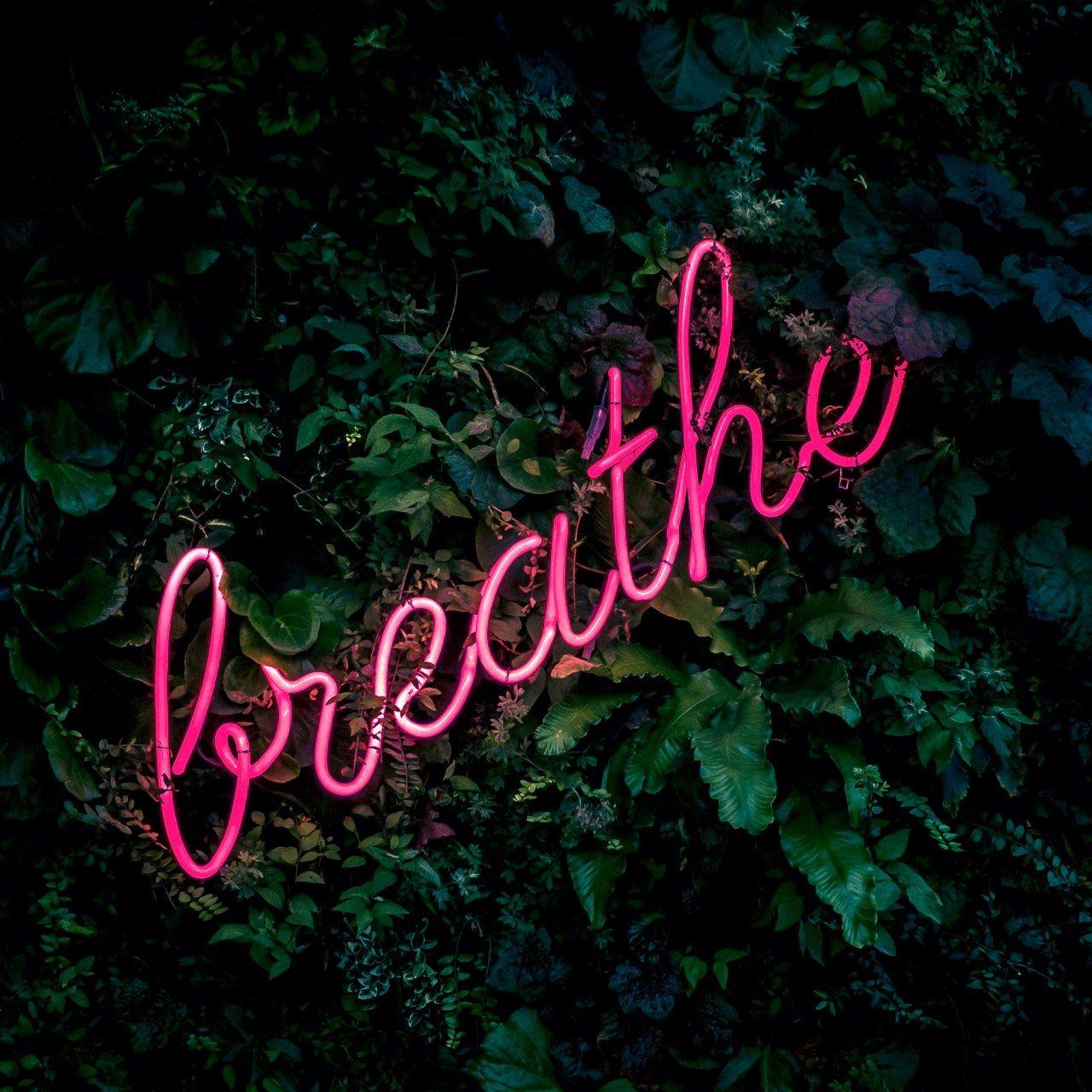 1280x1280 Aesthetic Wallpaper • Pink breathe neon sign wallpaper • Wallpaper For You The Best Wallpaper For Desktop & Mobile