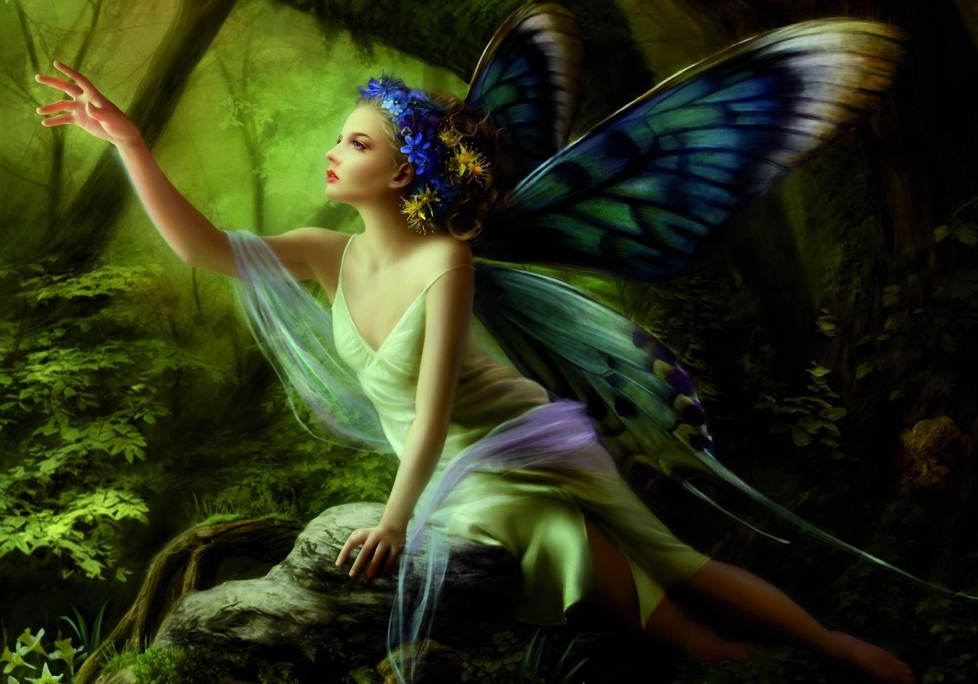 1920x1343 Blue Butterfly Fairy Wallpaper