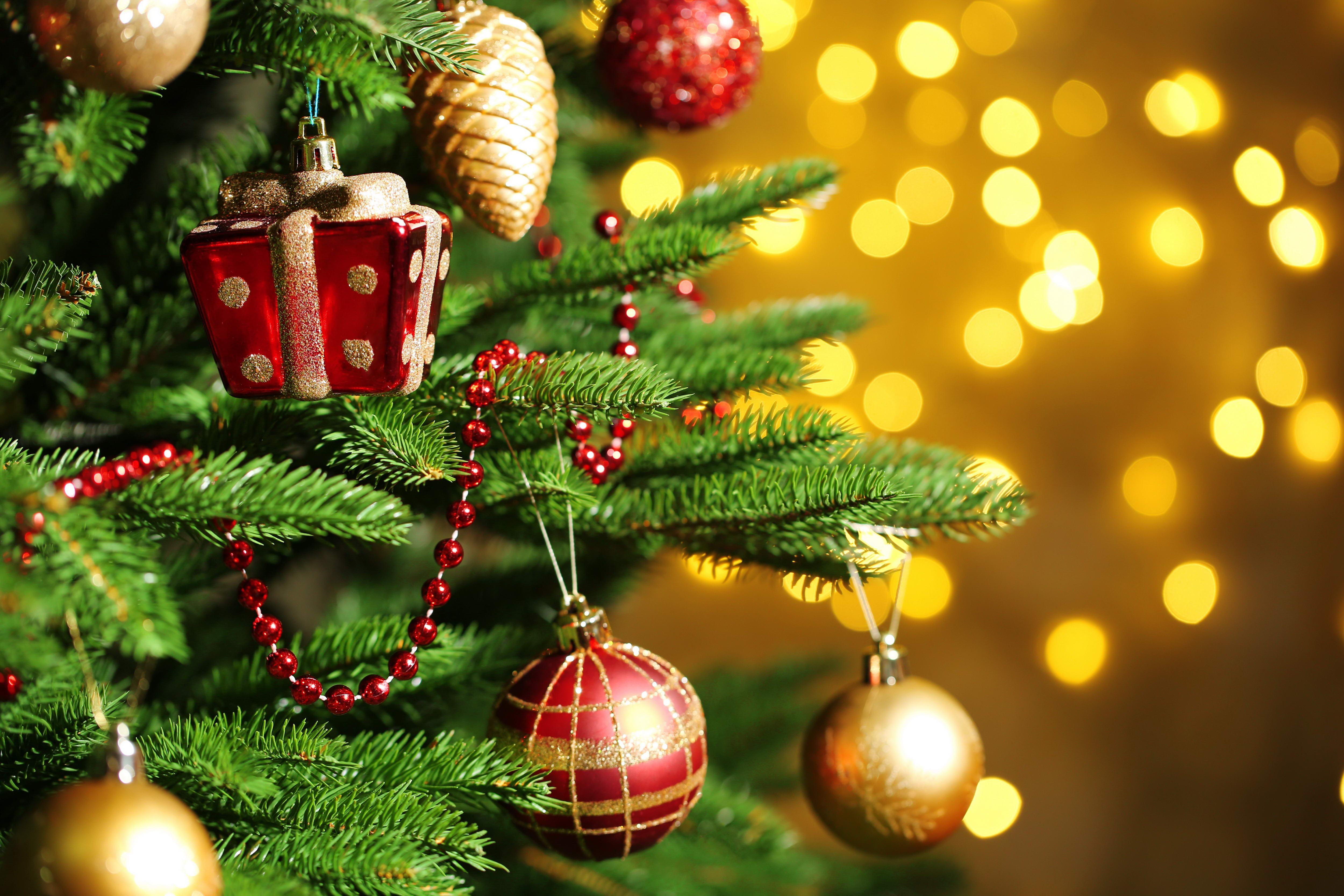 5000x3333 Desktop Wallpaper Free Toys On Christmas Tree Tree Lights Background