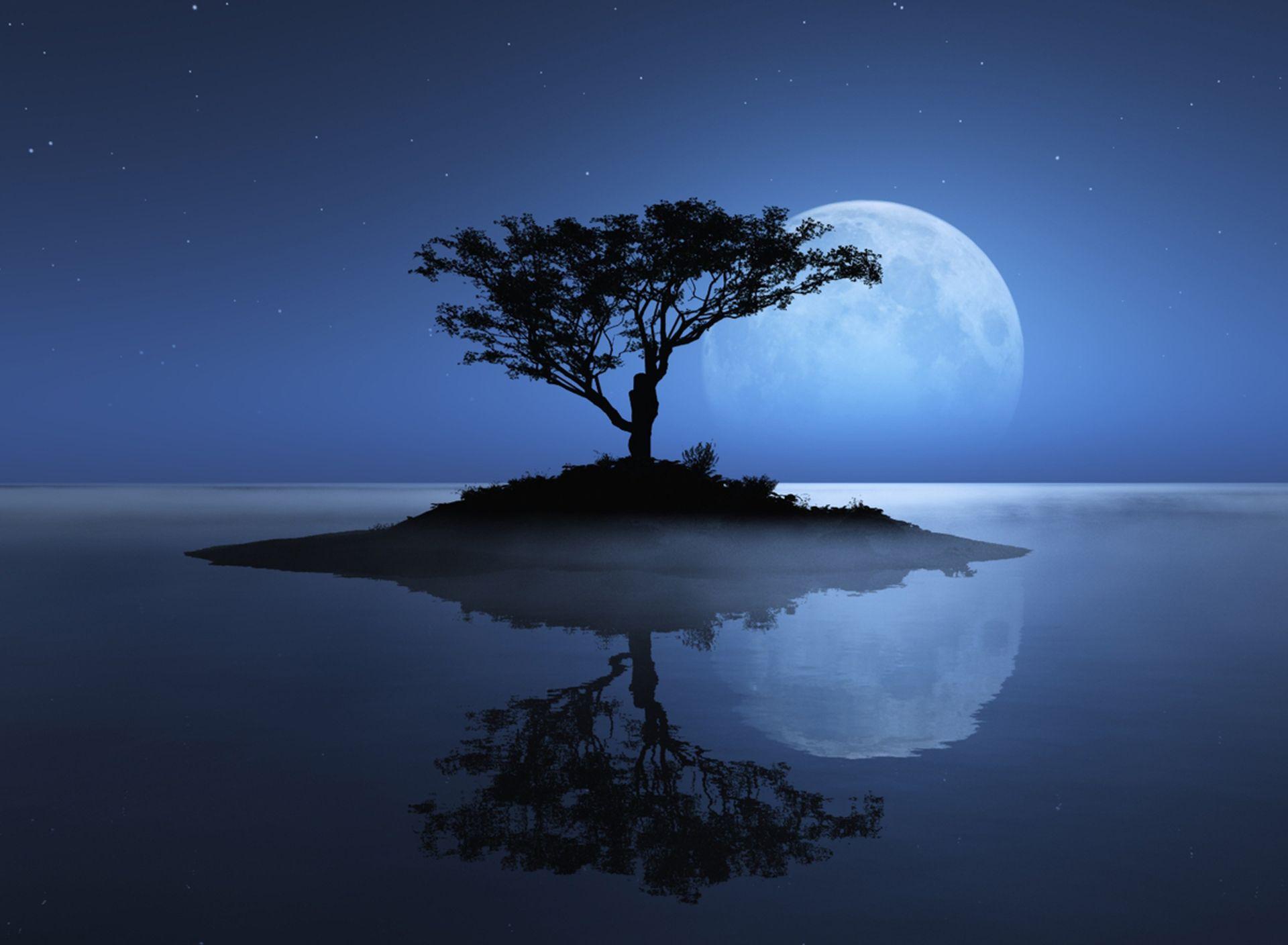 1920x1408 I Stand Alone Wallpaper. Alone Wallpaper, Home Alone Christmas Background and Alone Boy Wallpaper