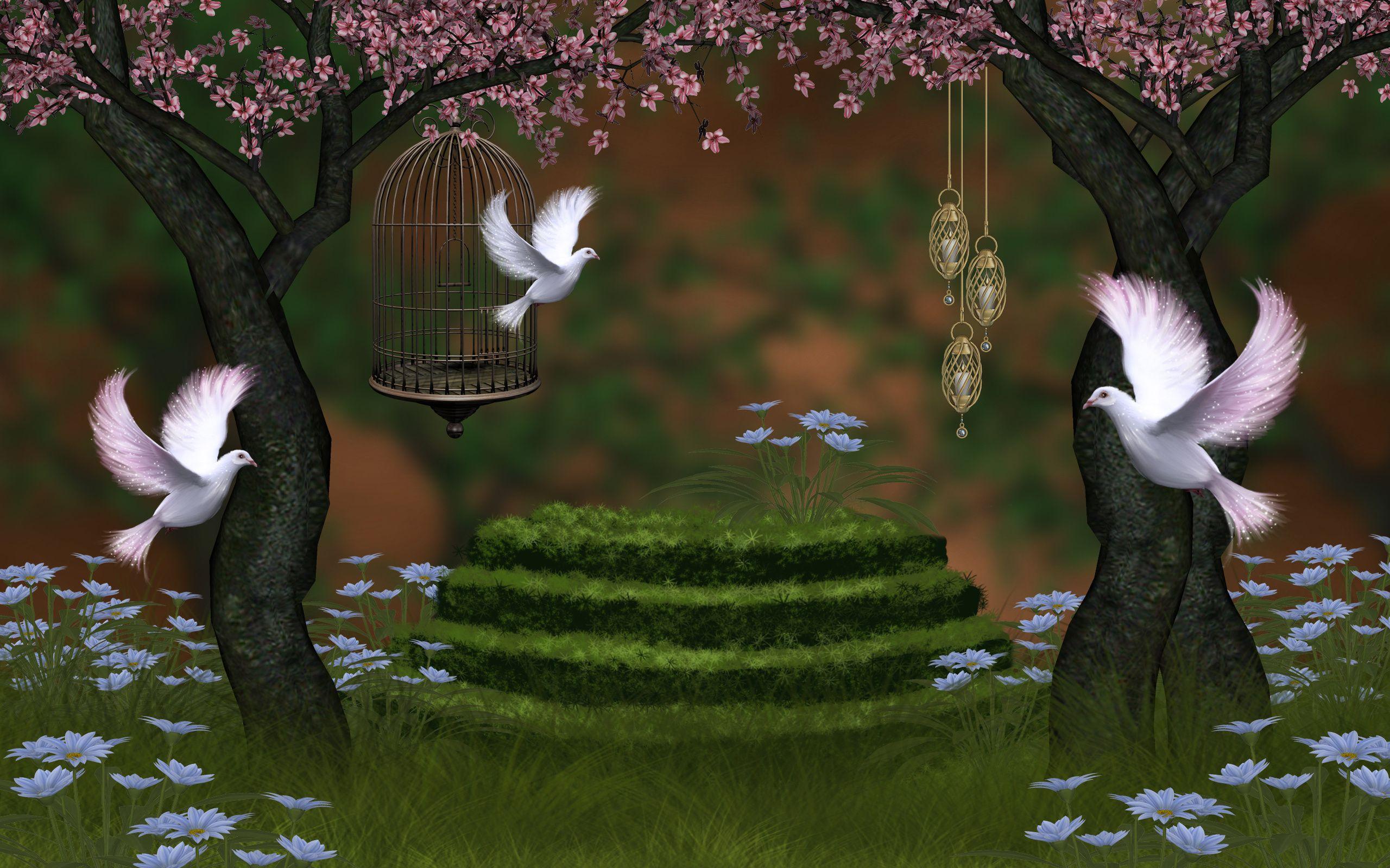 2560x1600 Doves 3D art wallpaperx1600