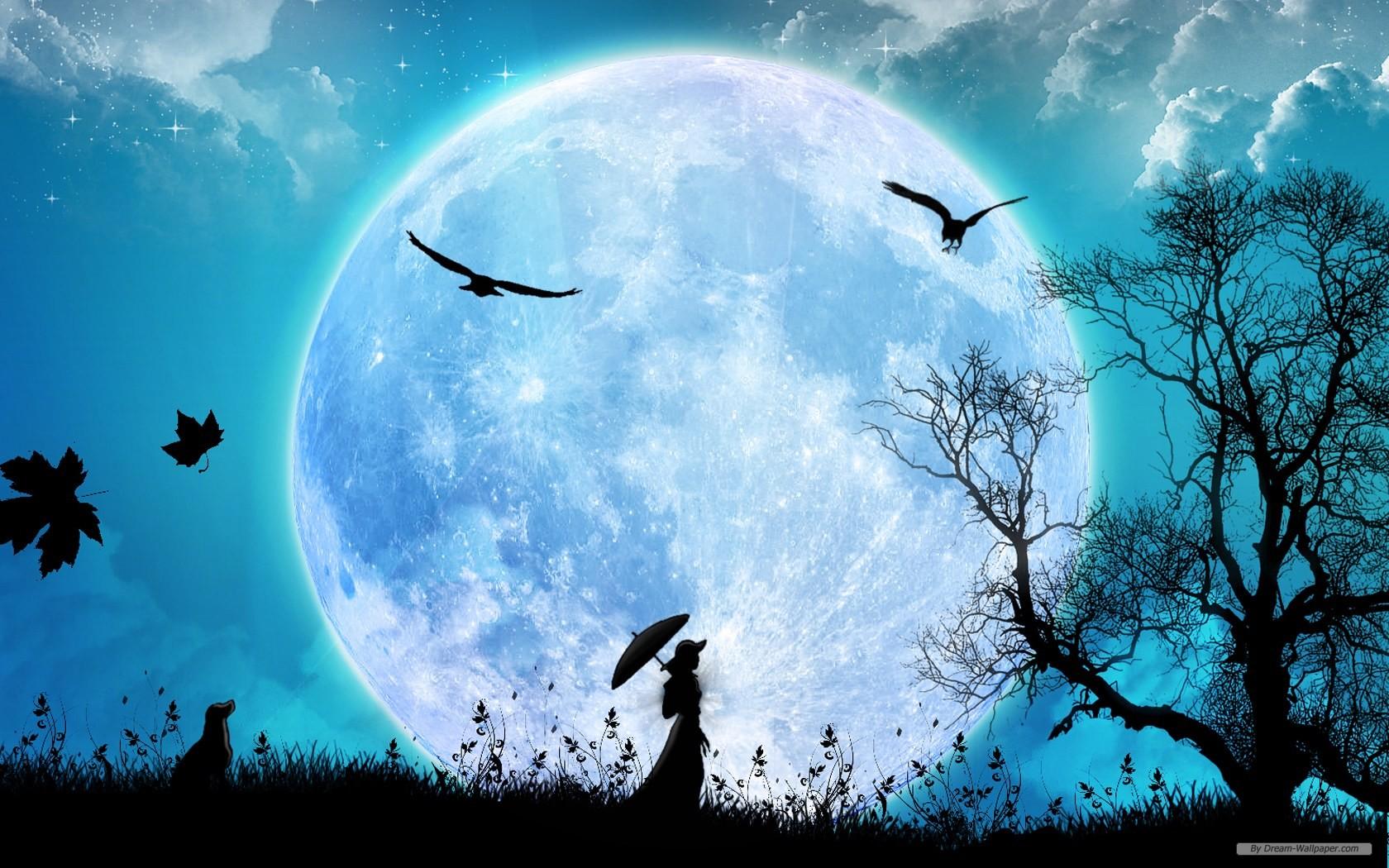 1680x1050 3D Art Picture Wallpaper (1680x1050)