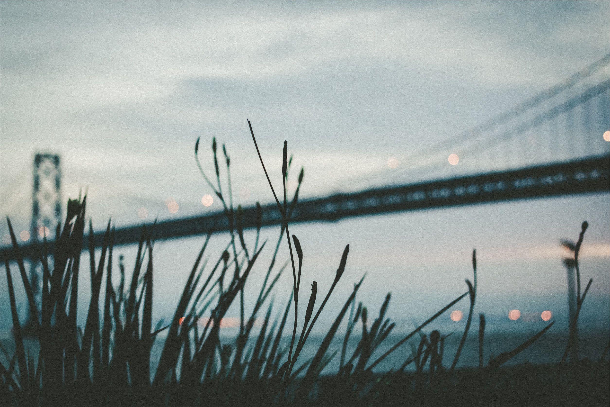 2509x1673 Photography Out Of Focus Wallpaper:2509x1673