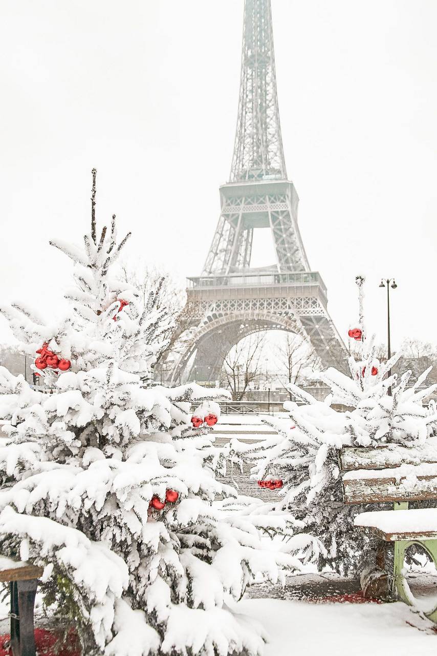 854x1280 Christmas in Paris wallpaper