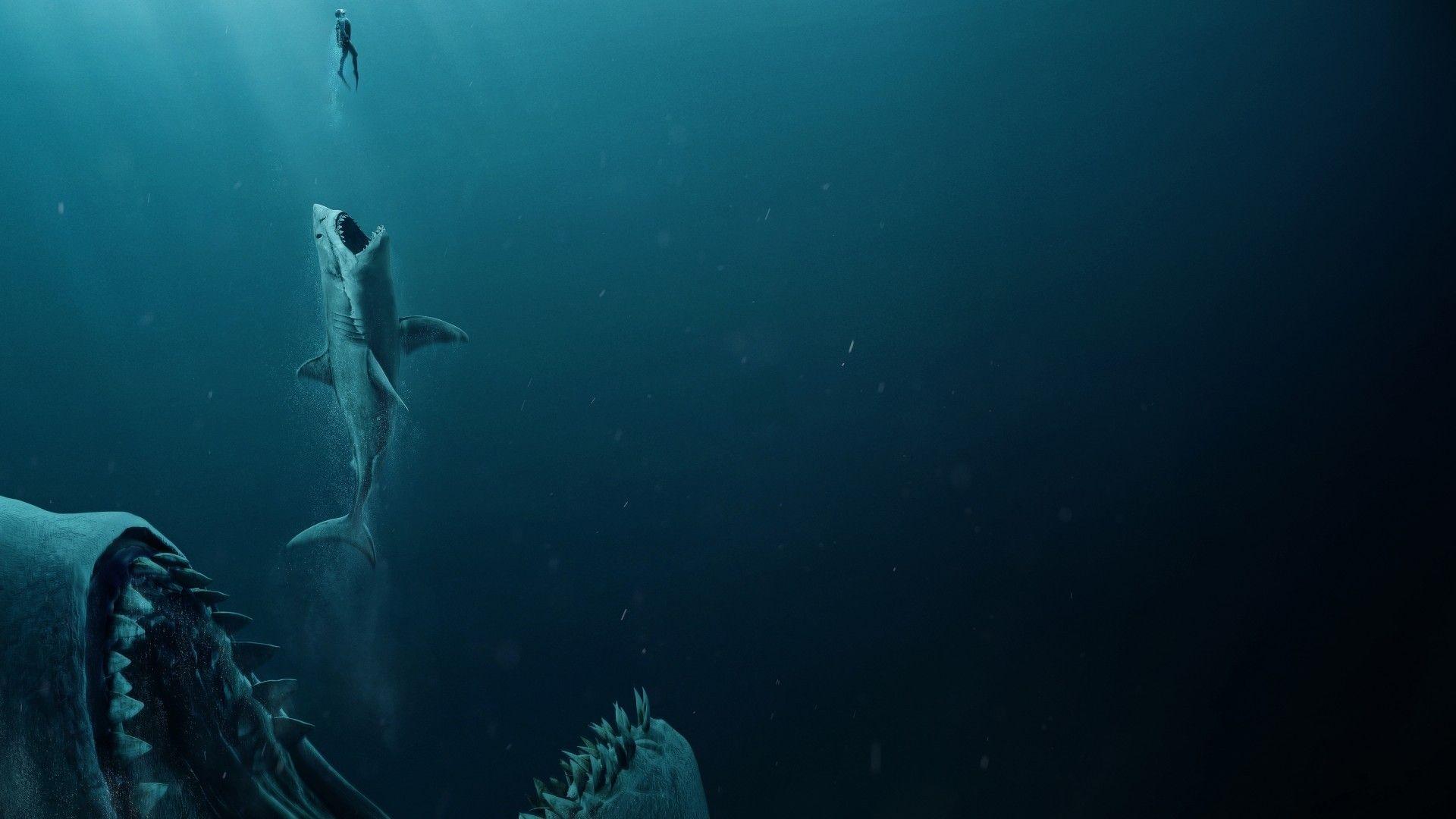 1920x1080 Download 1920x1080 The Meg Shark, Underwater Wallpaper for Widescreen