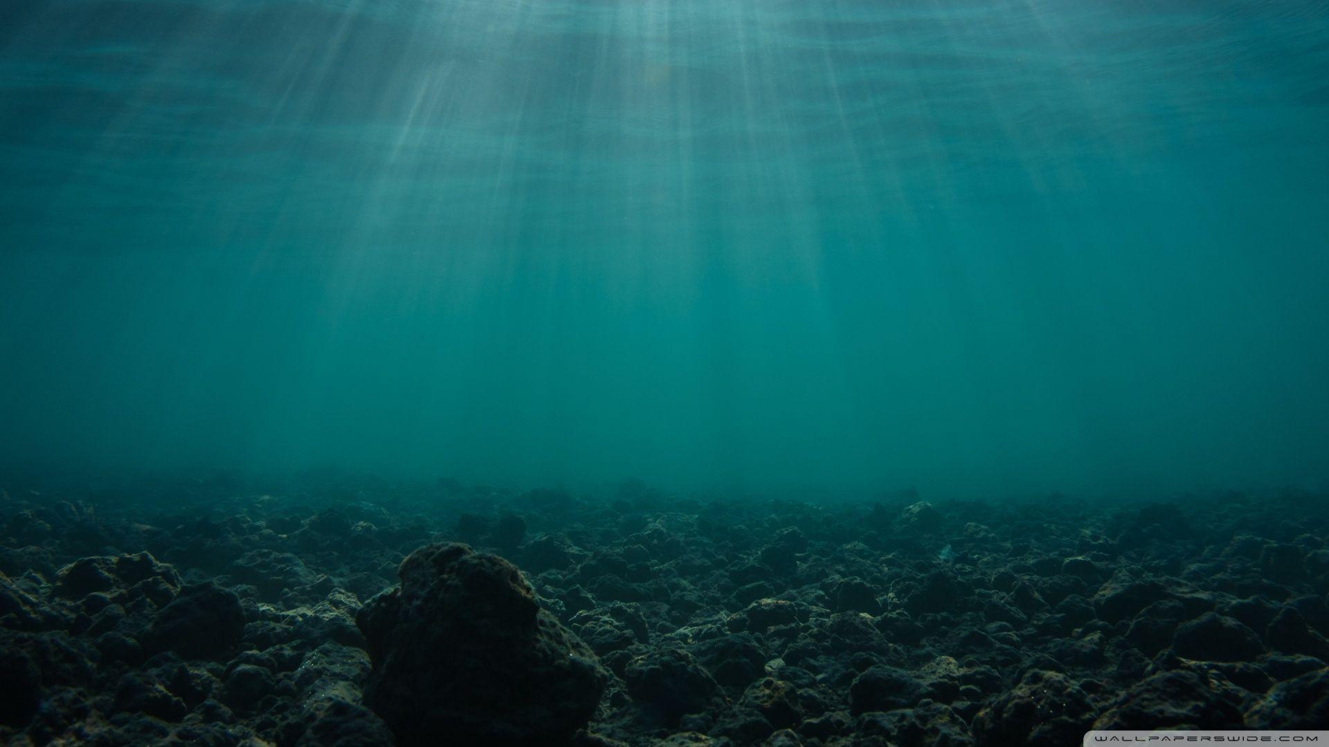 1920x1080 Lake Underwater Ultra HD Desktop Background Wallpaper for 4K UHD TV : Widescreen & UltraWide Desktop & Laptop : Tablet