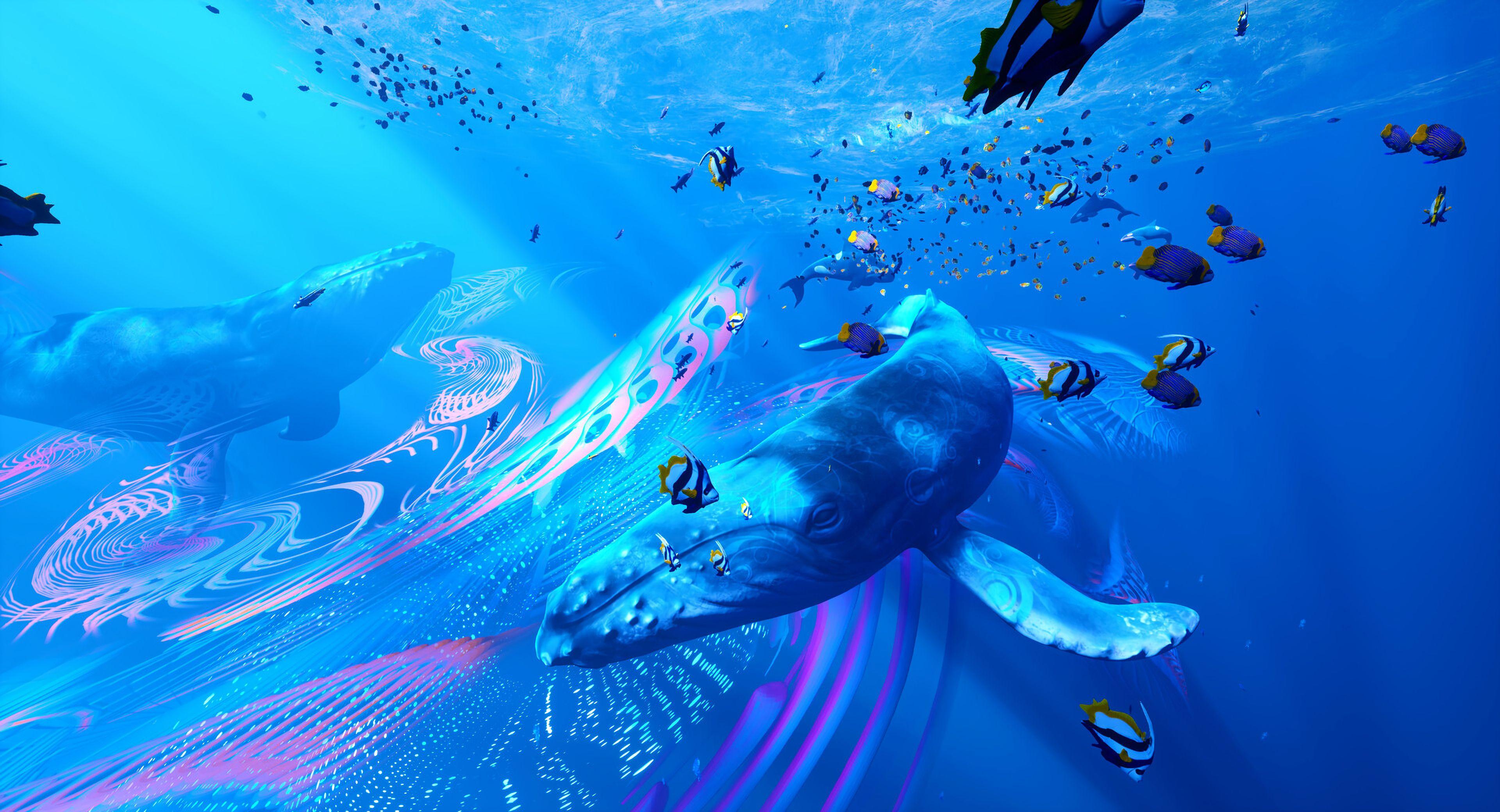 Underwater Laptop Wallpapers - Top Free Underwater Laptop Backgrounds