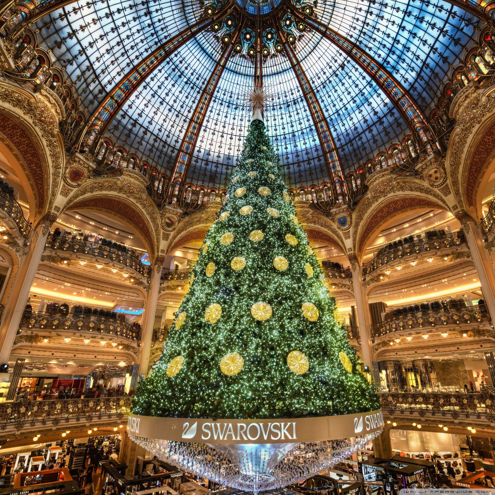 2048x2048 Christmas Tree in Paris Ultra HD Desktop Background Wallpaper for 4K UHD TV : Tablet