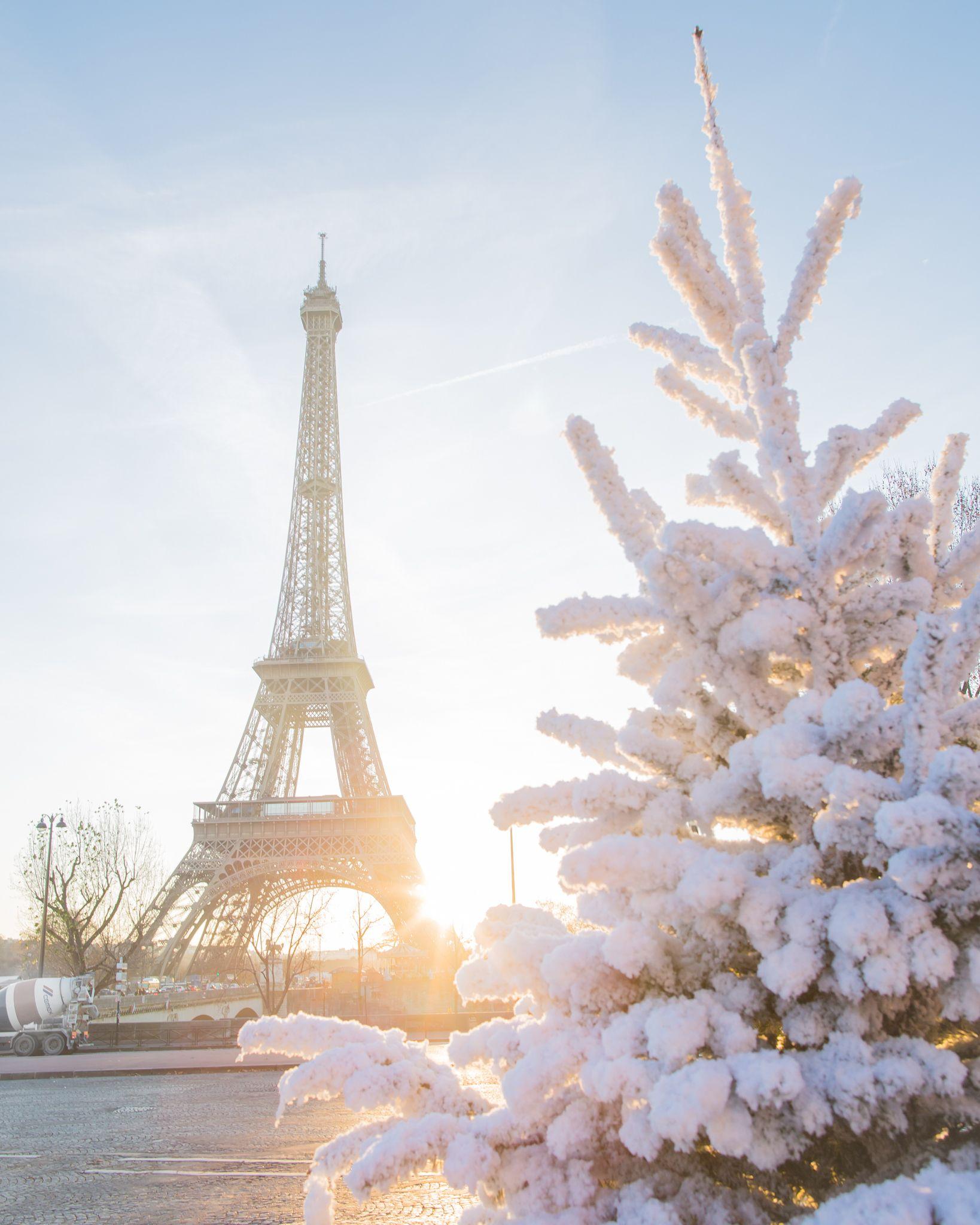 1638x2048 Christmas tree at Eiffel Tower. France photo, Eiffel tower, Paris photography