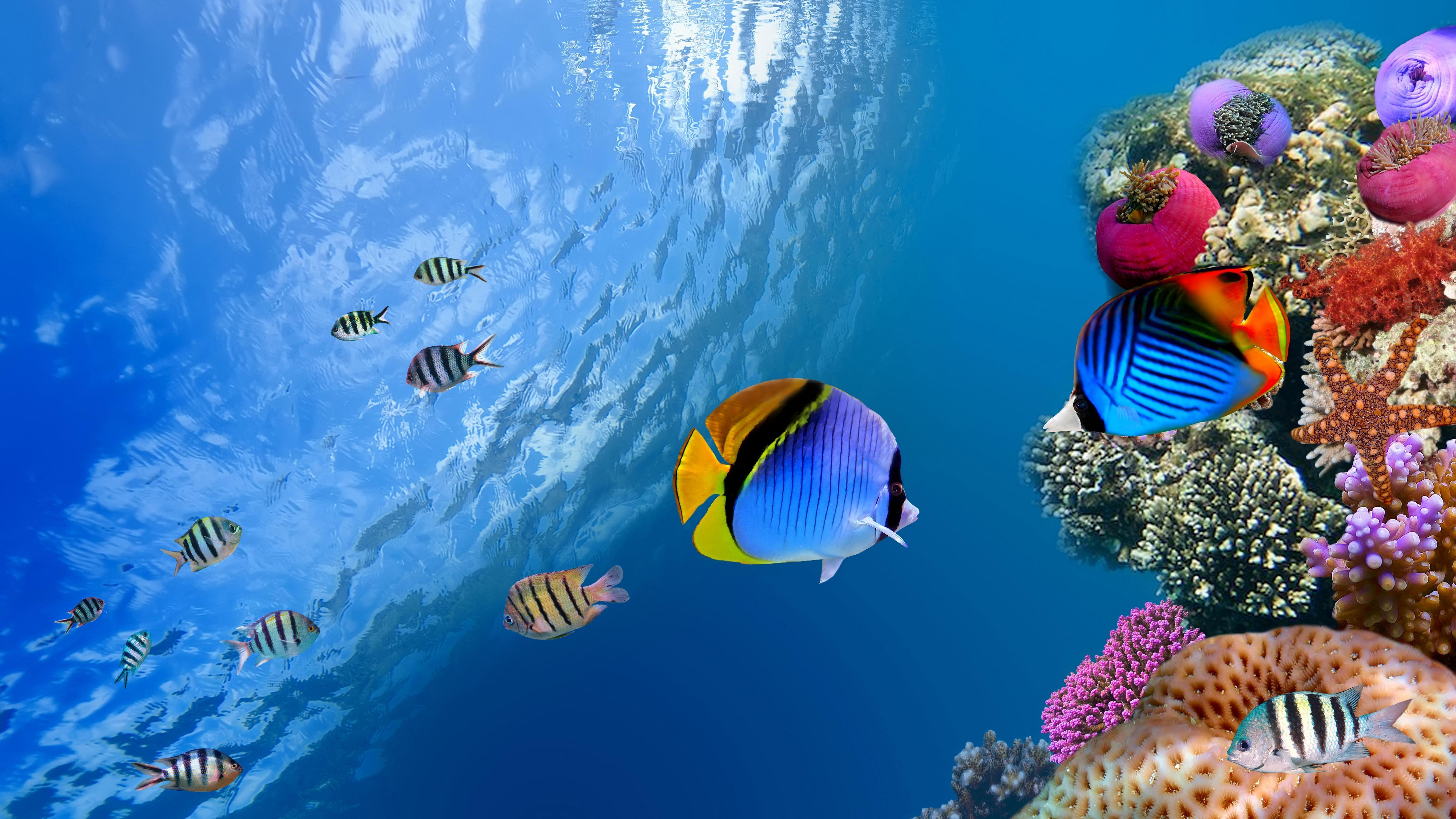 7680x4320 Wallpaper Wallpaper Superior 15360x8640 Wallpaper Background
