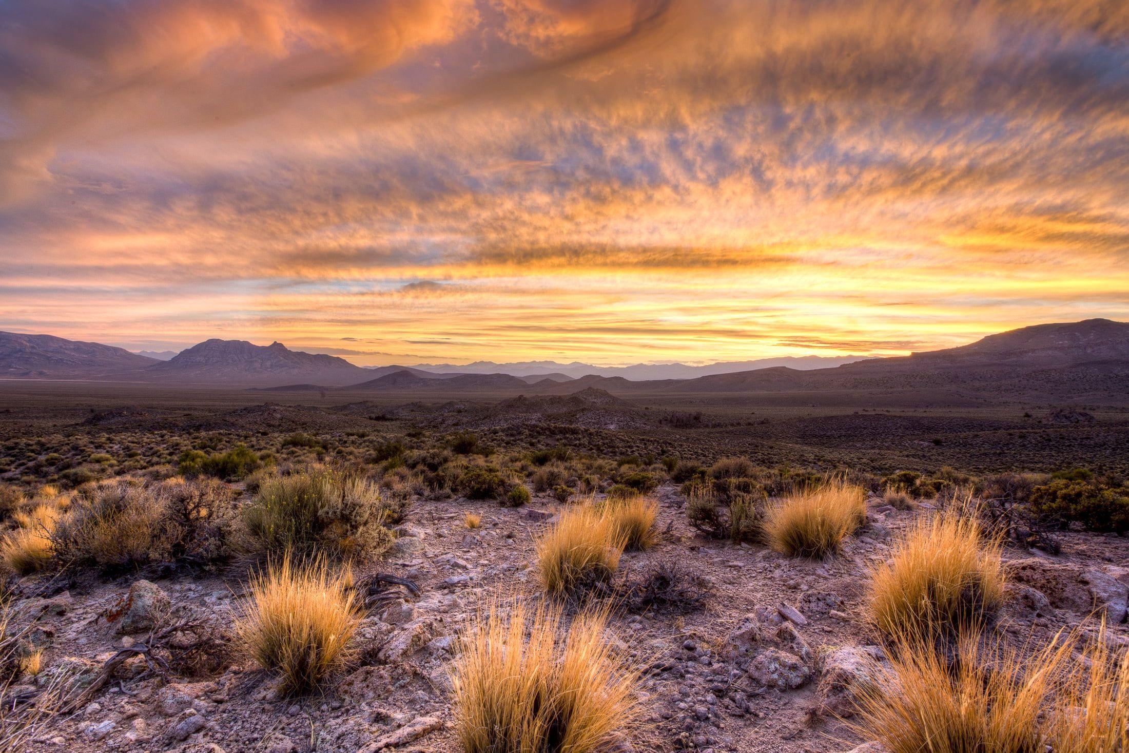 2200x1467 Green grass on desert during sunset HD wallpaper
