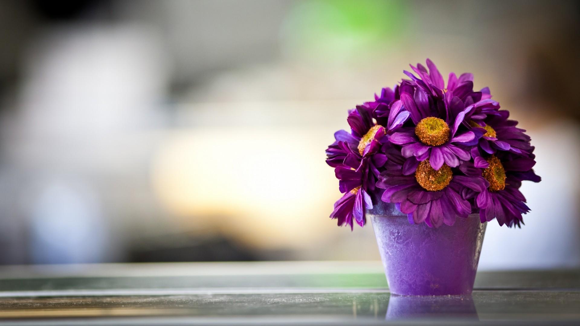 1920x1080 Flowers Wallpaper HD