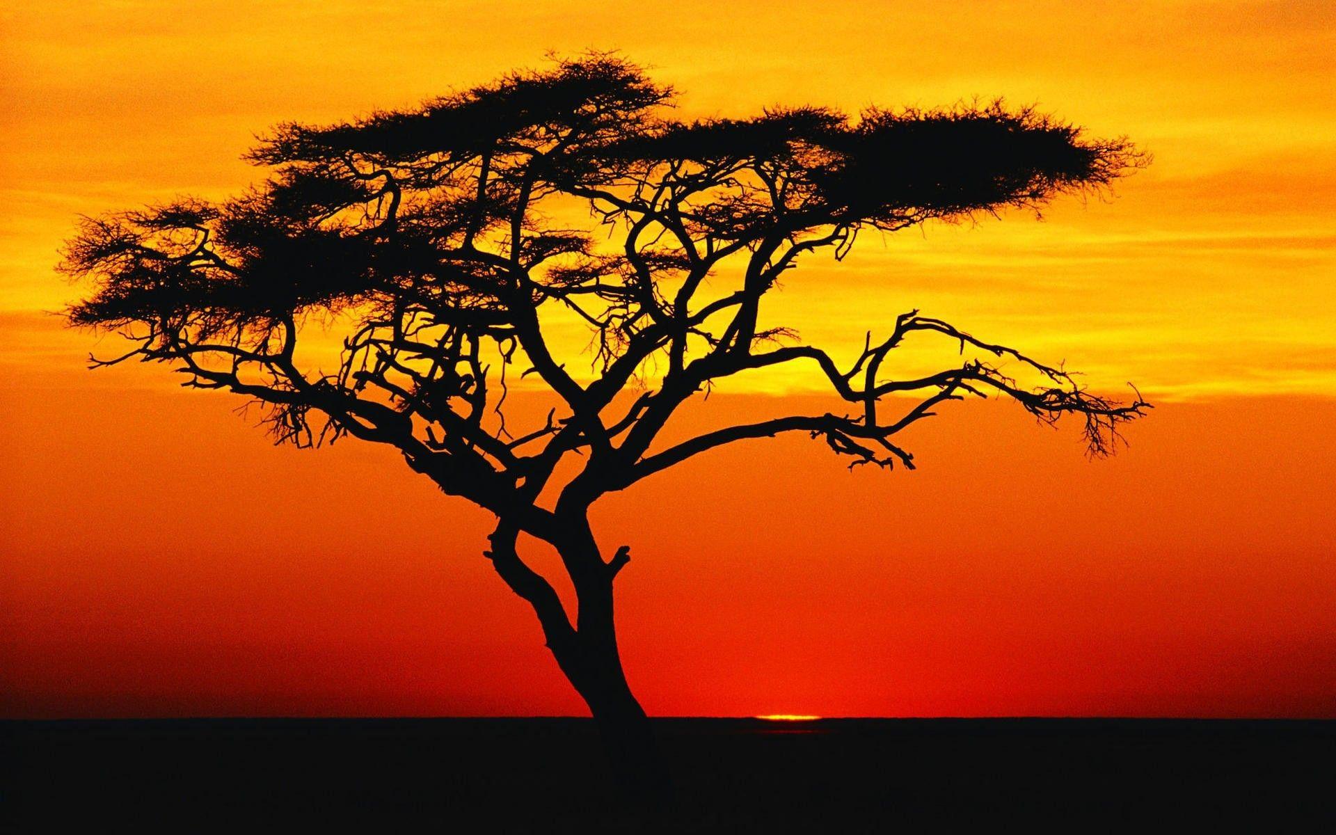 1920x1200 desert sunset wallpaper widescreen HD desert sunset