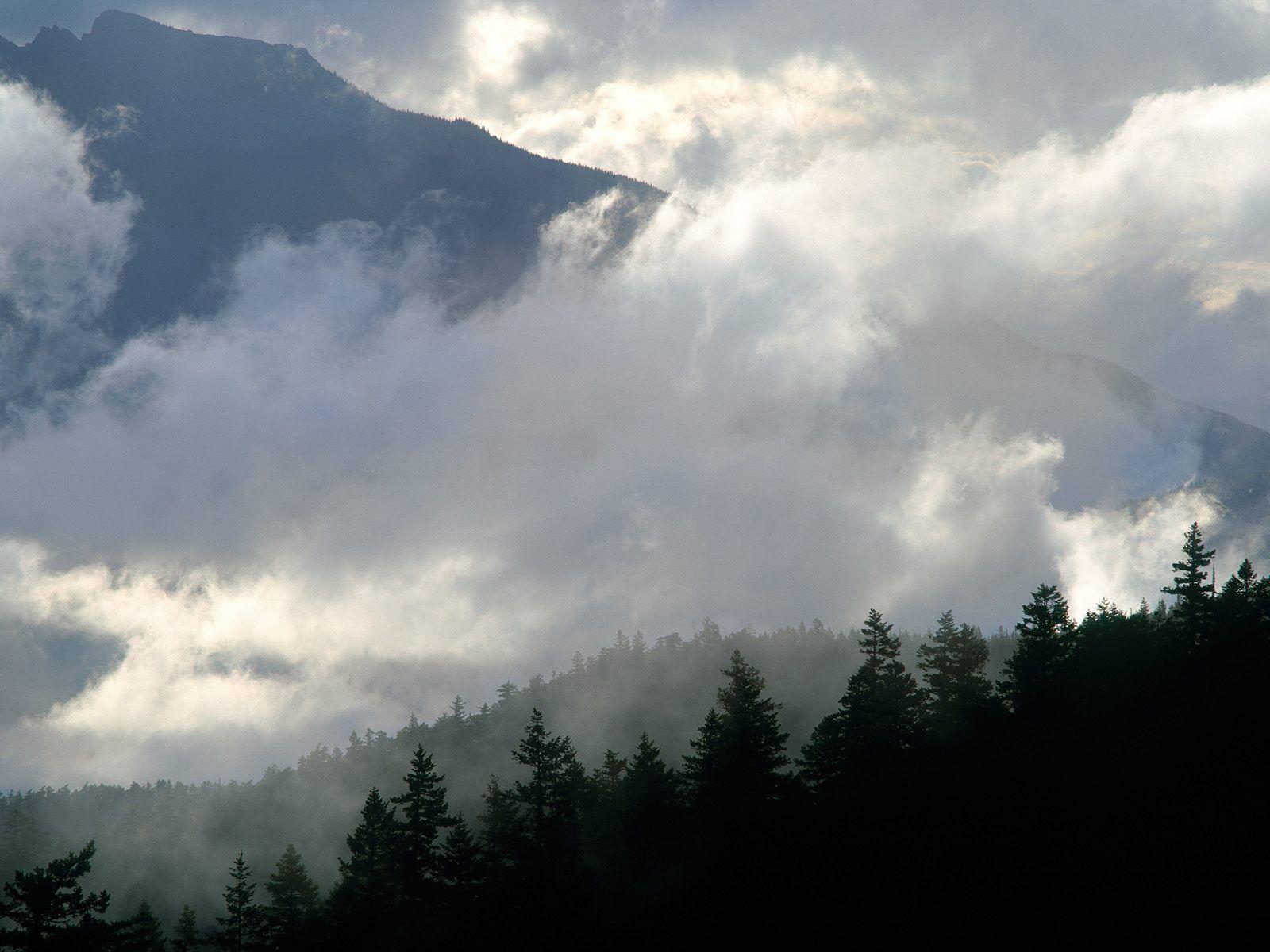 1600x1200 Olympic Mountains Wallpaper. Great Smoky Mountains Wallpaper, Wallpaper Mountains Snow White and Mountains Wallpaper