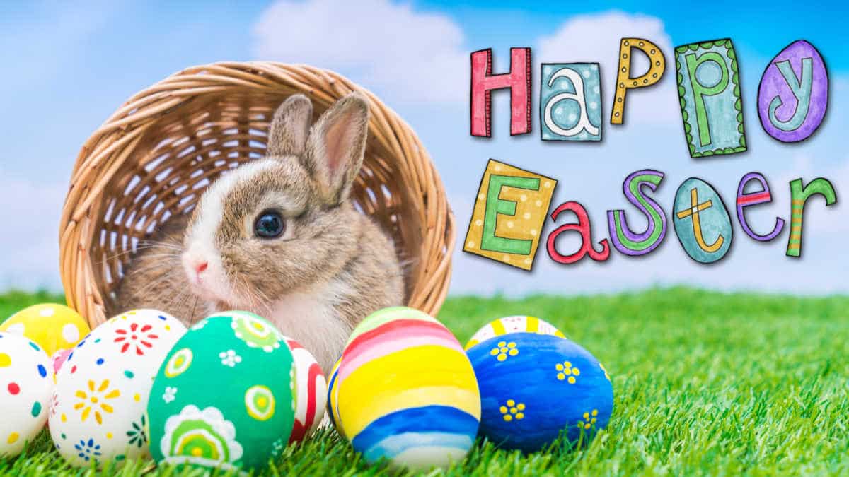 1200x675 Happy Easter 2021 Image, Funny Easter Eggs & Bunny Photo