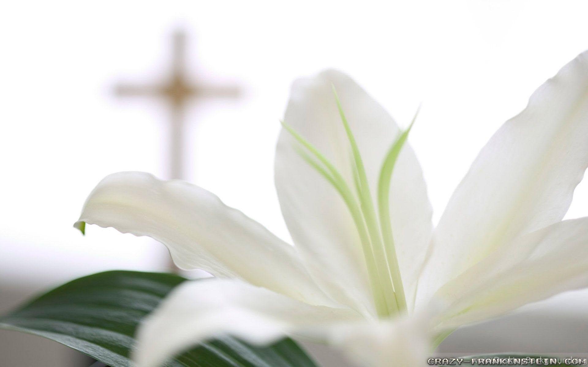 1920x1200 Gallery For Free Easter Sunday Wallpaper Desktop Background