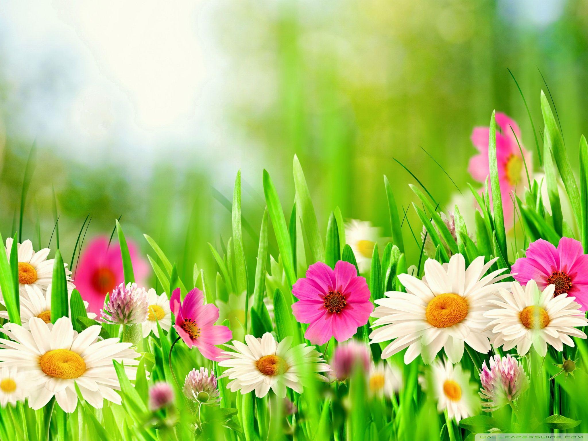 2048x1536 Easter Sunday 2014 Ultra HD Desktop Background Wallpaper for 4K UHD TV : Widescreen & UltraWide Desktop & Laptop : Tablet
