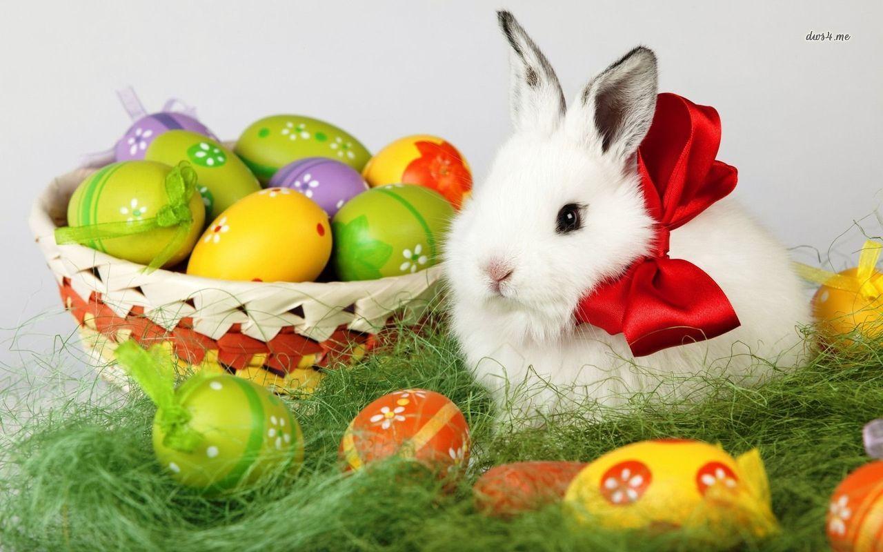 1280x800 Happy Easter 2015 Wallpaper, Greetings, Messages, Quotes