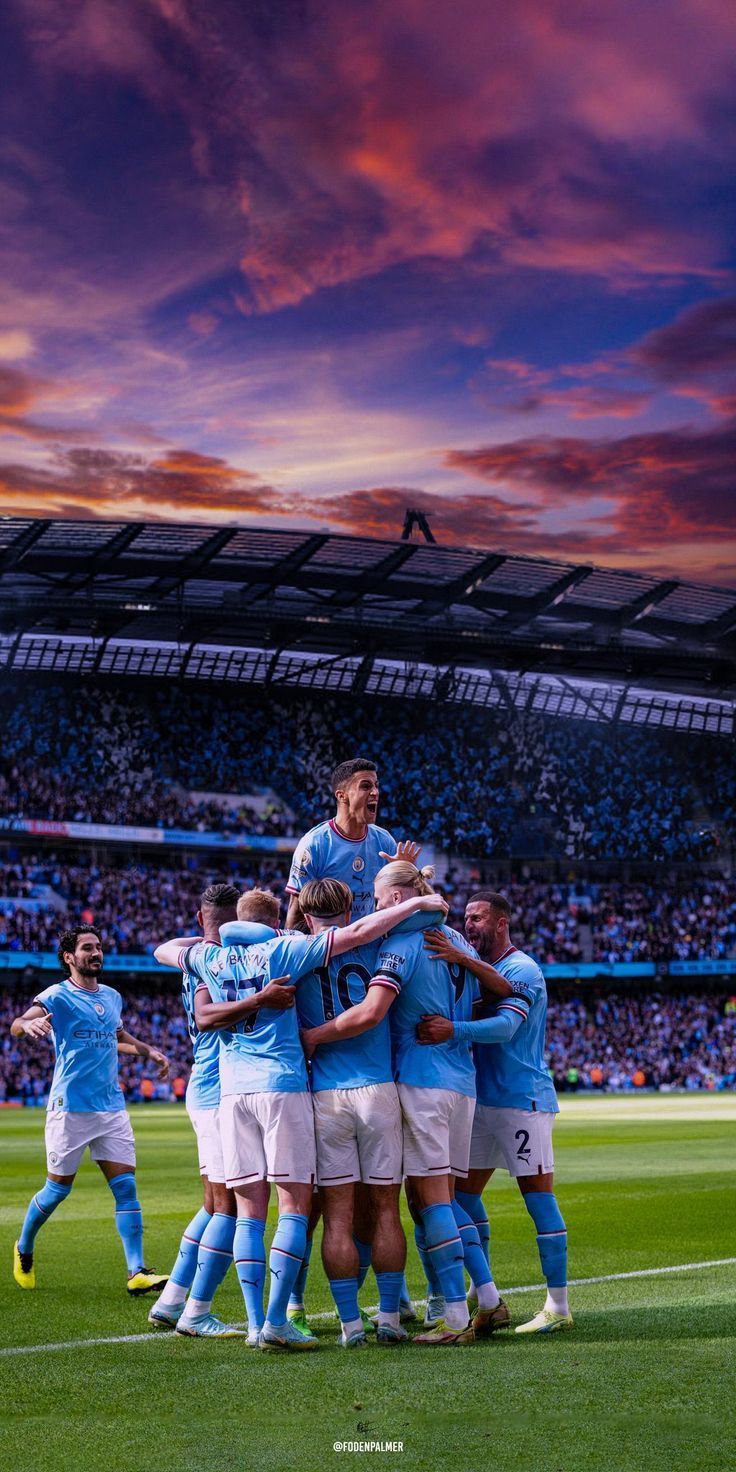 736x1472 Manchester City Team Wallpaper