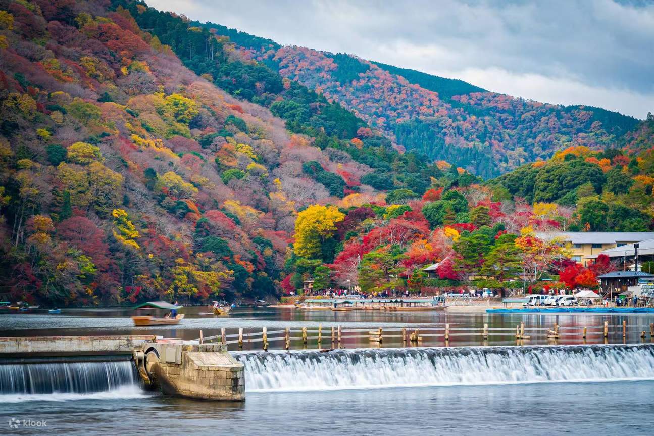 1295x863 Kyoto World Heritage And Popular Attractions Day Trip Nijo Castle & Kinkaku Ji (Golden Pavilion) & Fushimi Inari Taisha Shrine's Thousand Torii Gates & Arashiyama Togetsukyo Bridge & Kimono Forest & Bamboo Grove (Departure