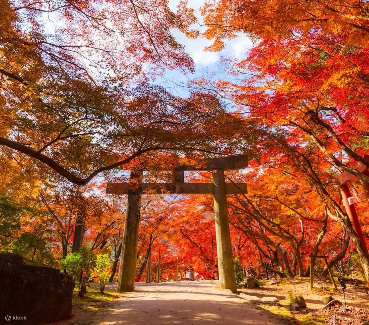 1295x1141 Autumn Limited Kyushu Beppu Fall Color Viewing Day Tour｜Kamado Shrine + Yufuin + Umijigoku + Yabakei Stream｜Chinese and English Tour Guide (Depart from Fukuoka)