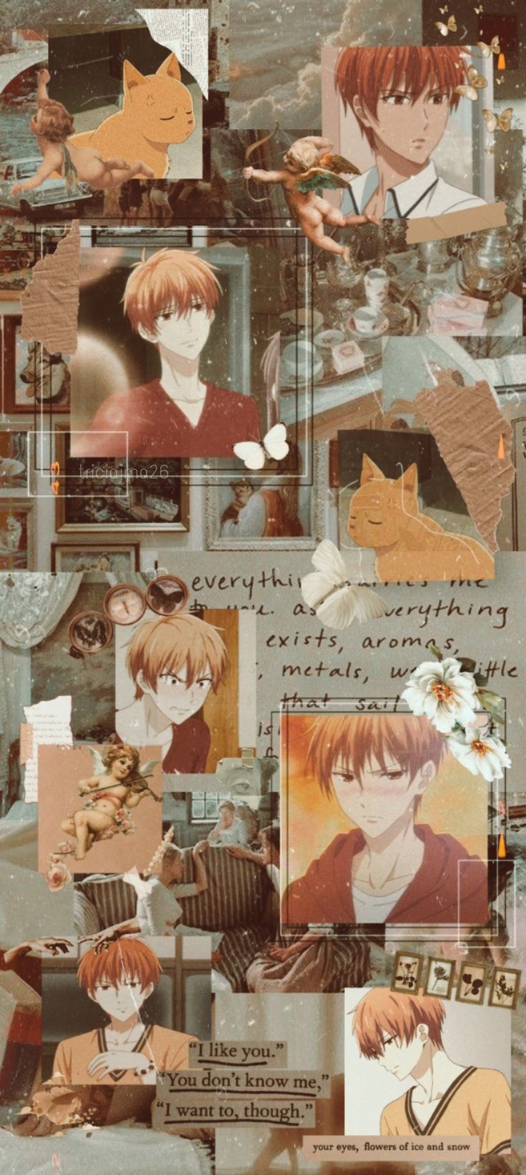 736x1644 Kyo aesthetic wallpaper {fruits basket}