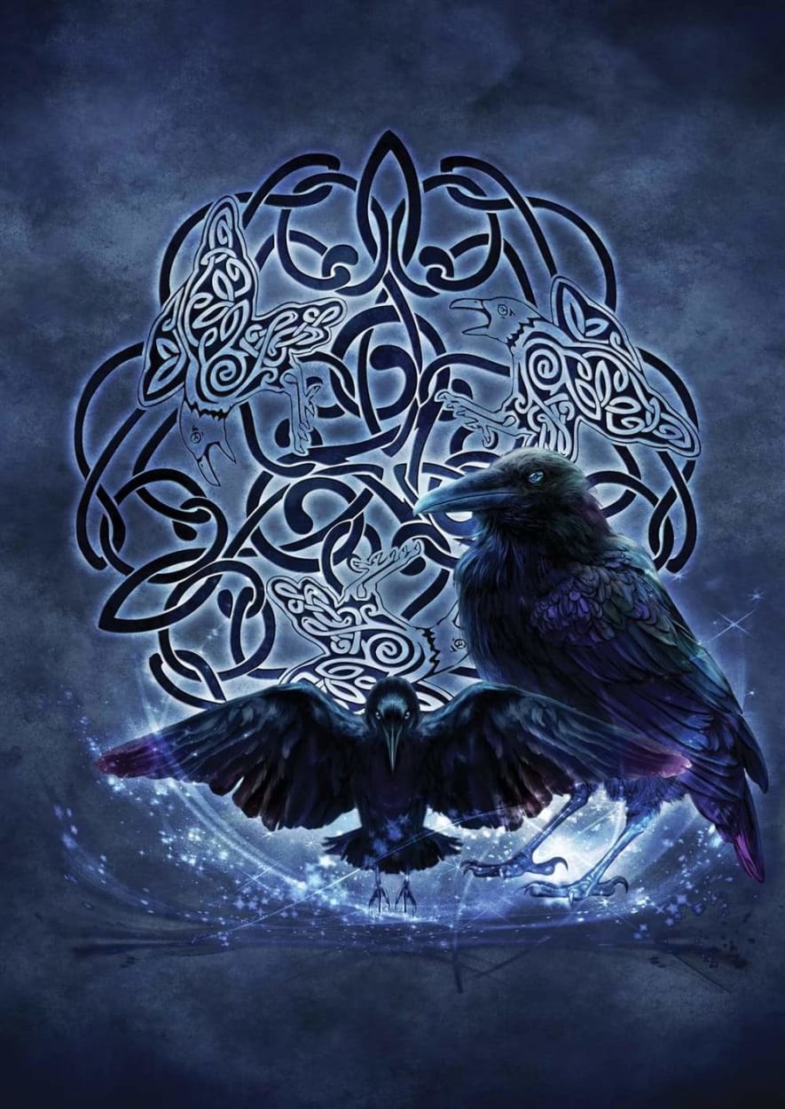 885x1250 Odin's Ravens