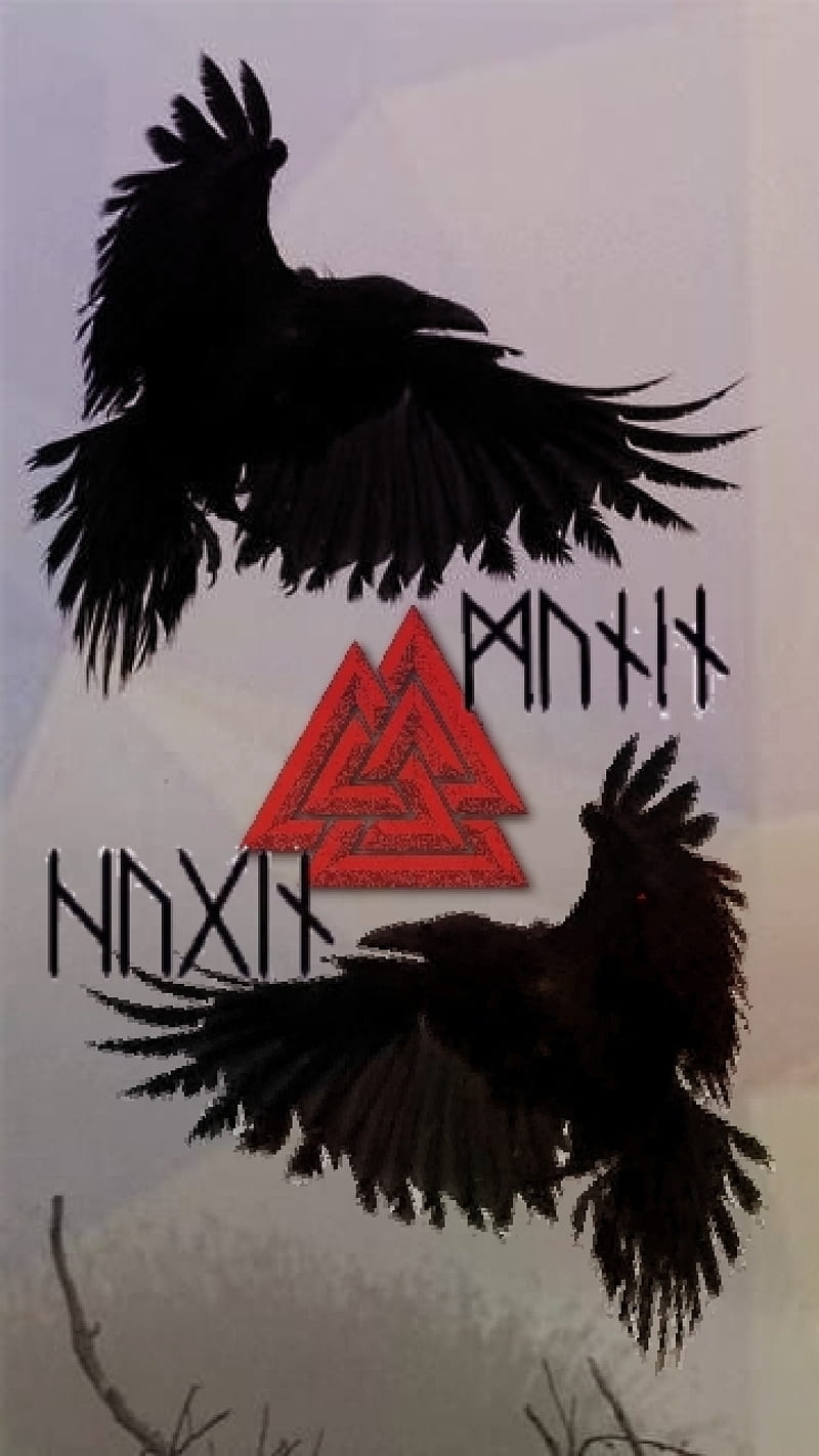 800x1422 Hugin and munin, crow, crows, gothic, norse, ravens, wings, HD phone wallpaper