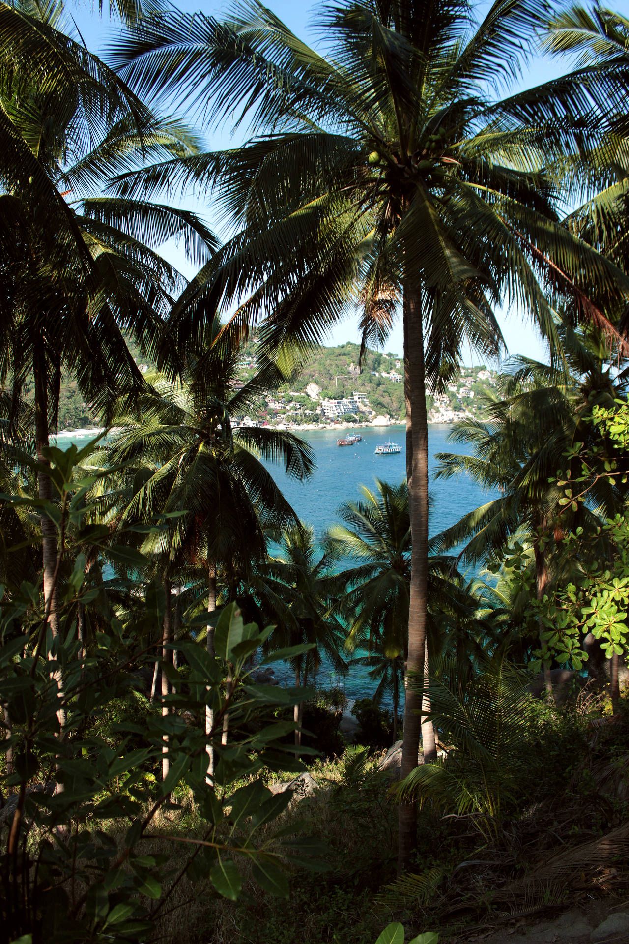1280x1920 French Guiana Wallpaper