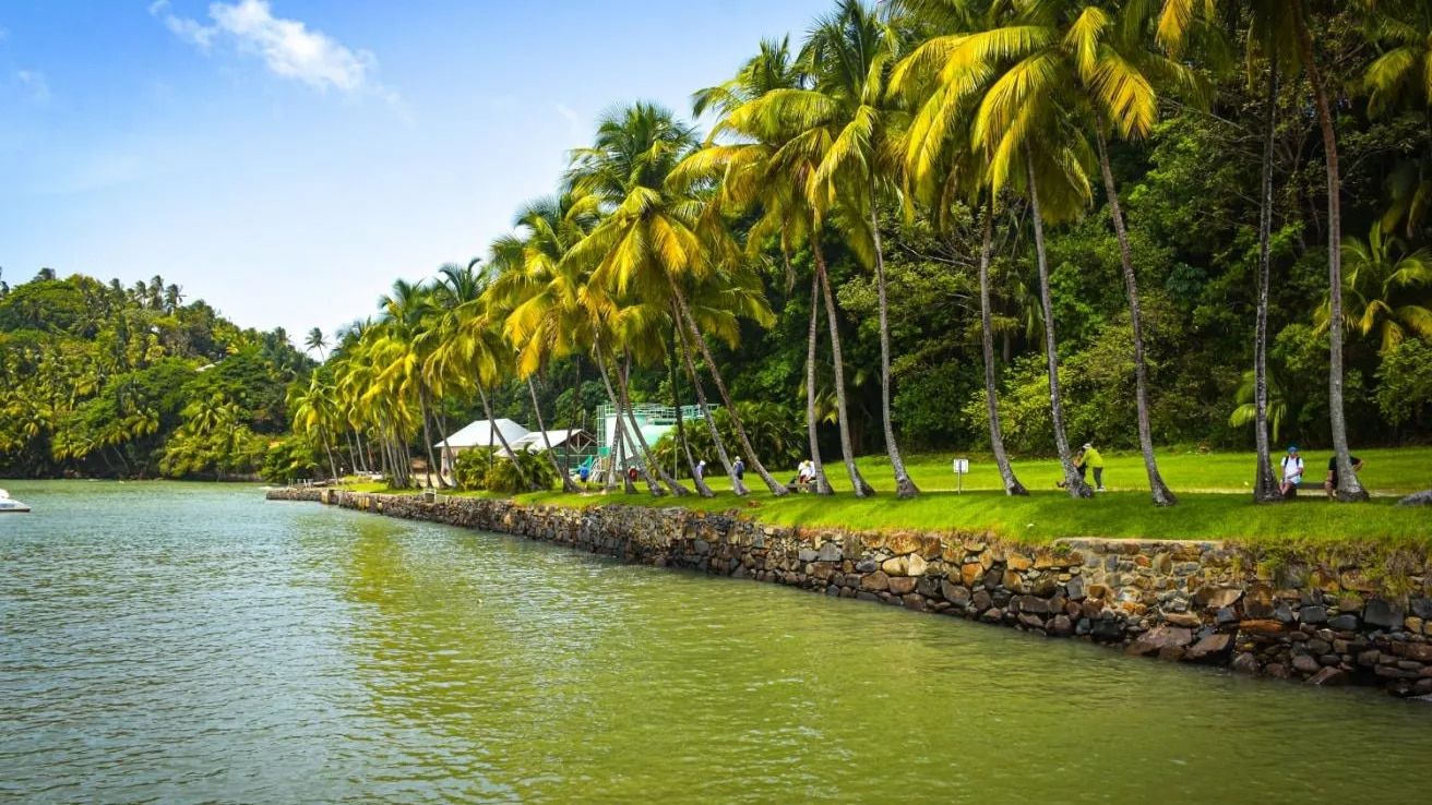 1312x738 French Guiana
