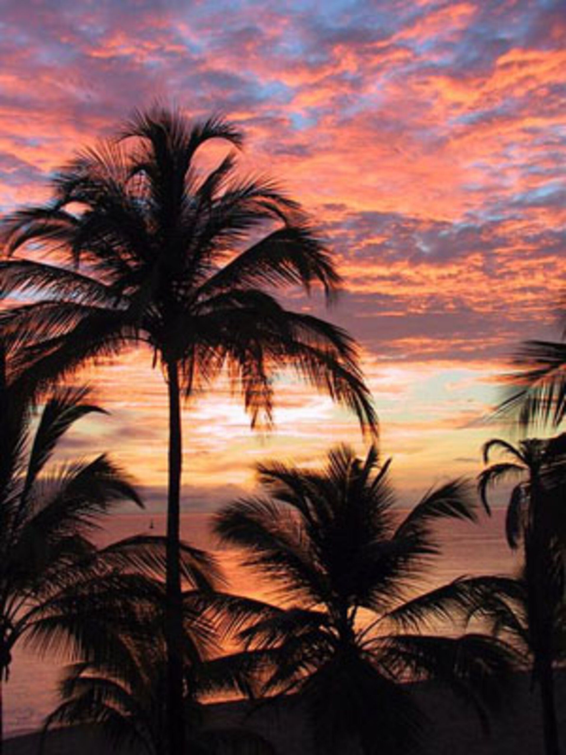 1920x2560 ESA in French Guiana