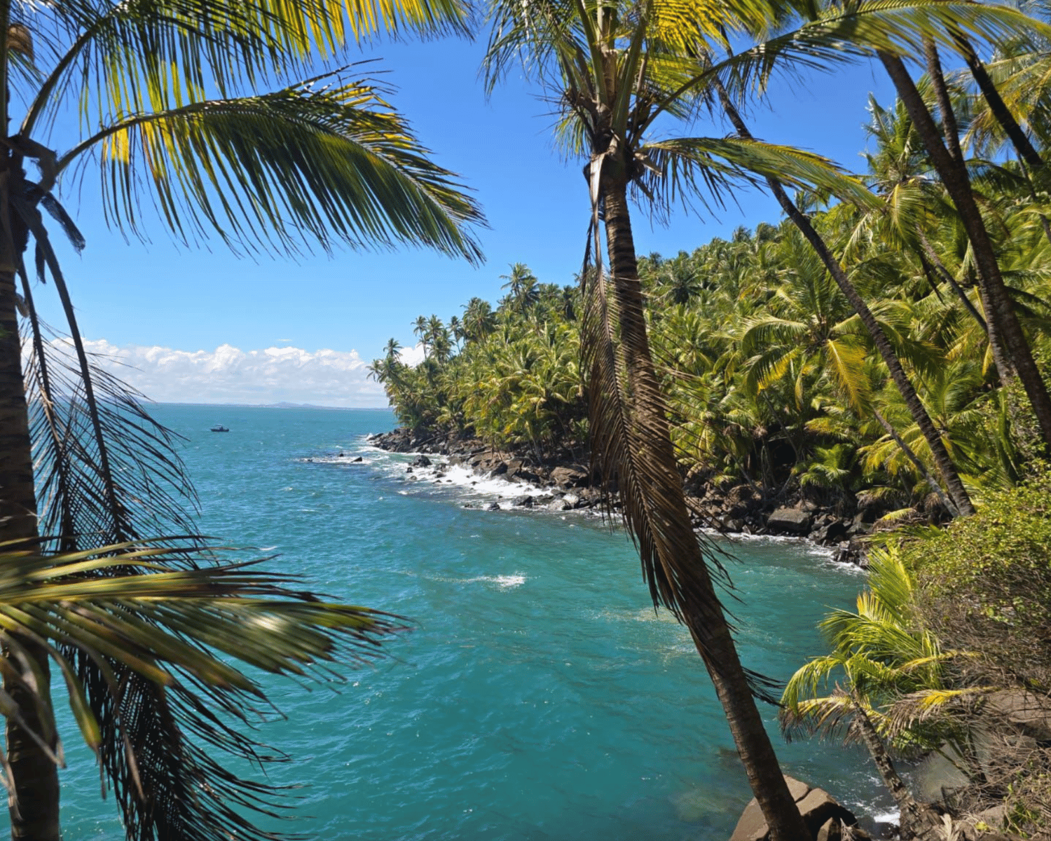 1500x1200 French Guiana 3 Day Tour Travel Suriname