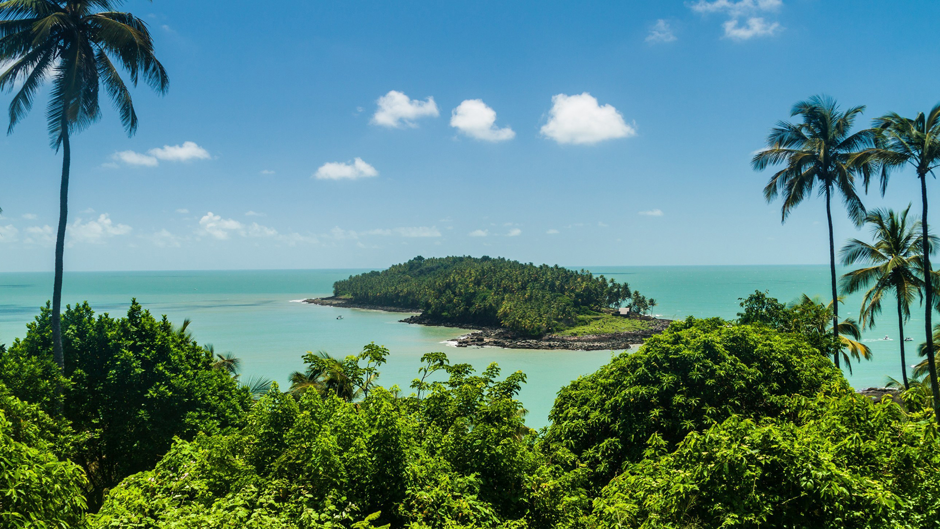 1920x1080 French Guiana. One Planet network