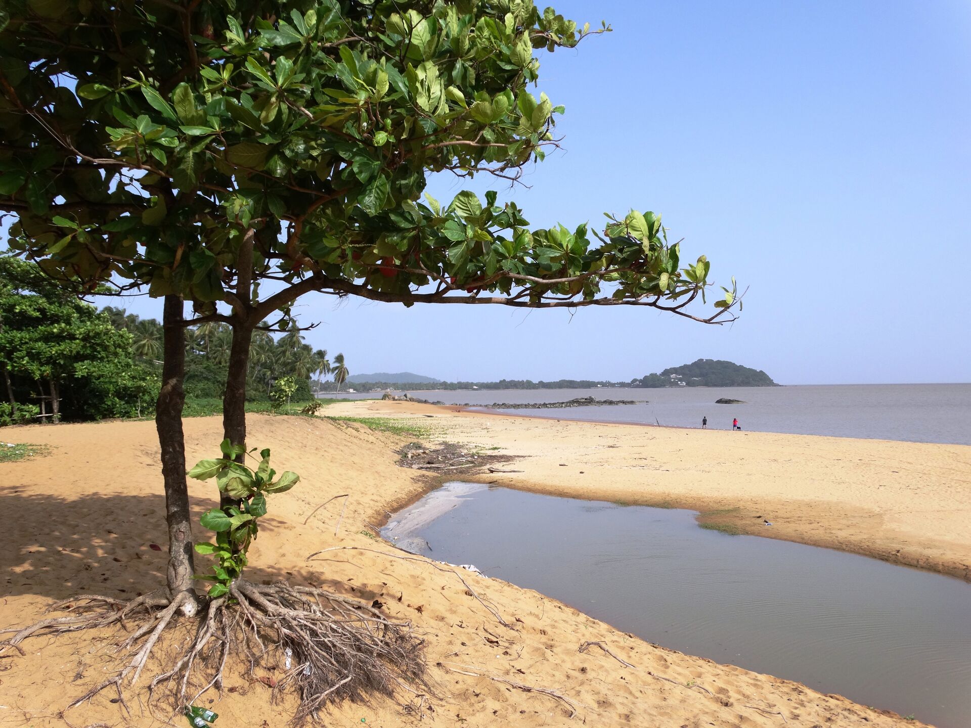 1920x1440 Orla cayenne french guiana photo on